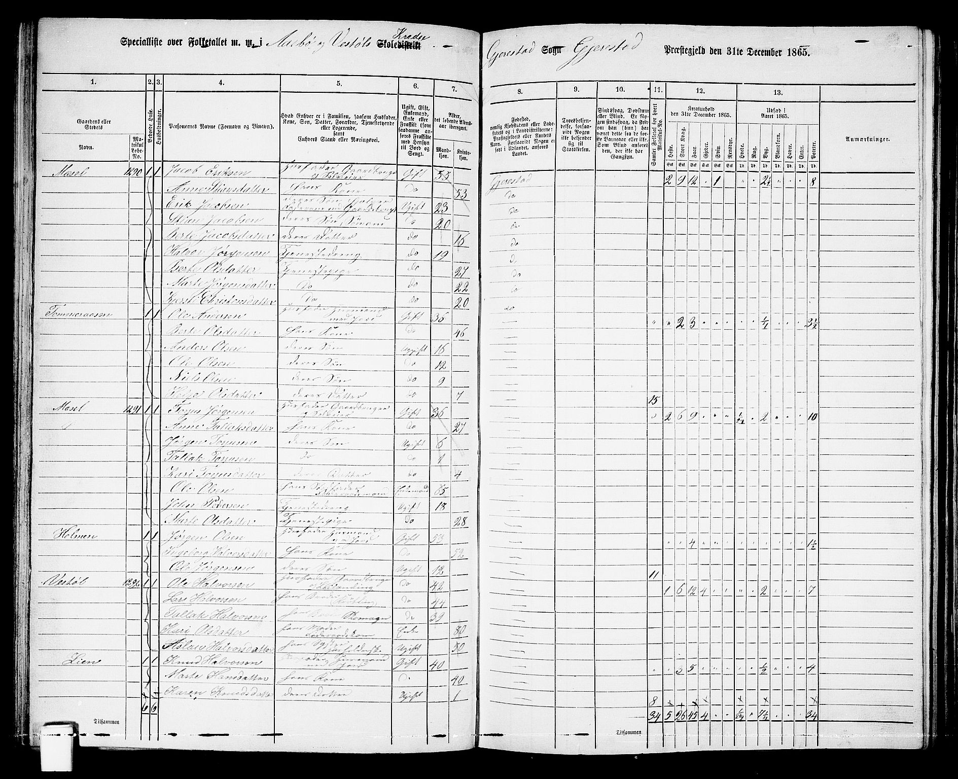 RA, 1865 census for Gjerstad, 1865, p. 80