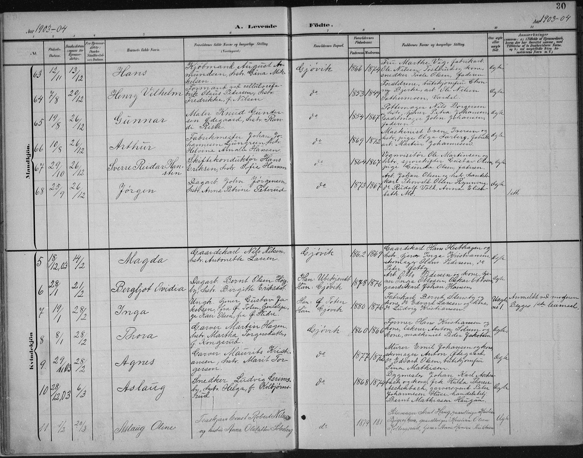 Vardal prestekontor, SAH/PREST-100/H/Ha/Haa/L0013: Parish register (official) no. 13, 1901-1911, p. 30