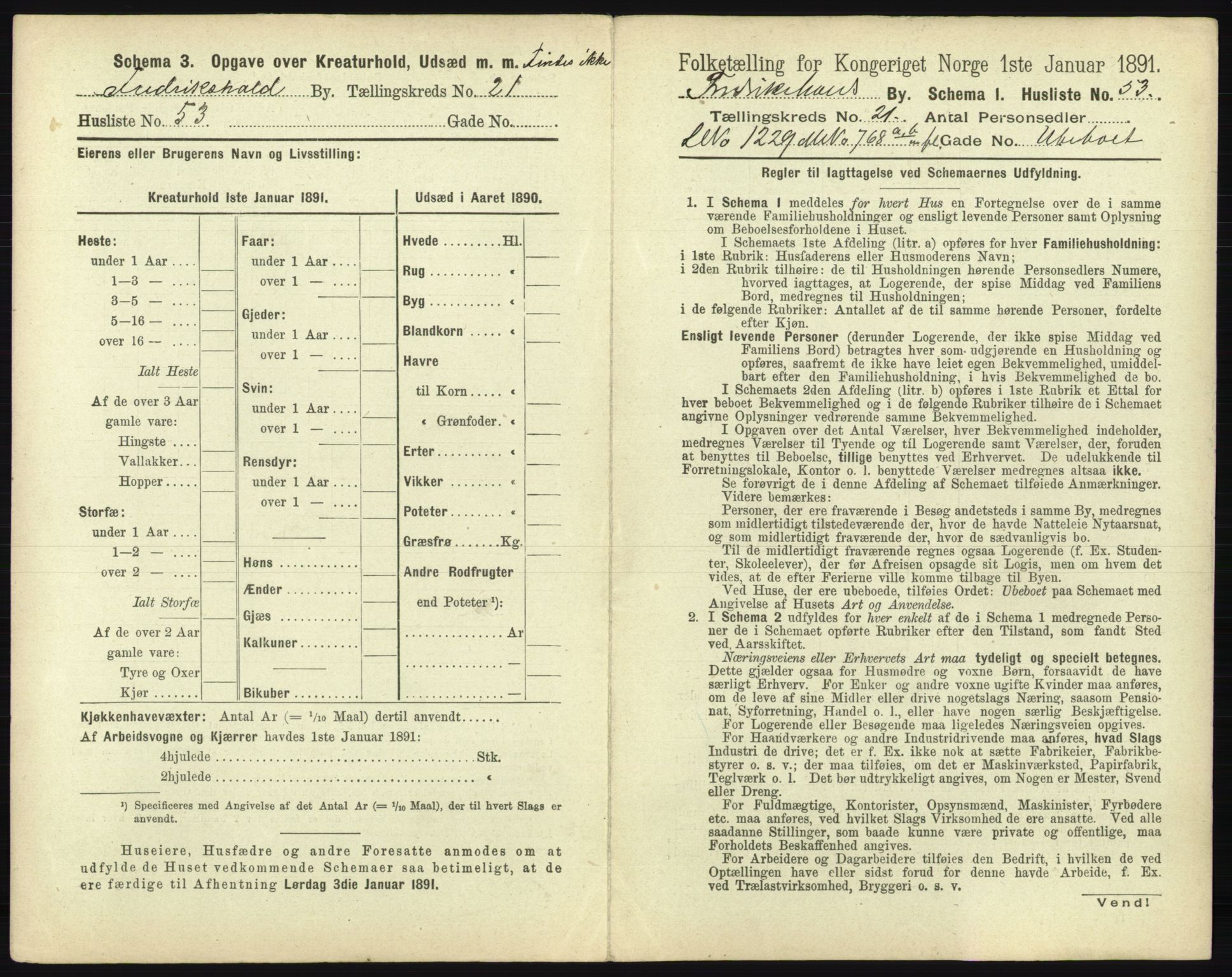 RA, 1891 census for 0101 Fredrikshald, 1891, p. 1954