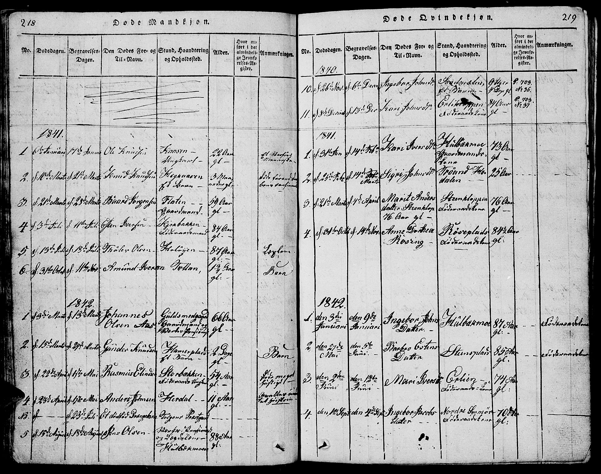 Tolga prestekontor, AV/SAH-PREST-062/L/L0001: Parish register (copy) no. 1, 1814-1877, p. 218-219