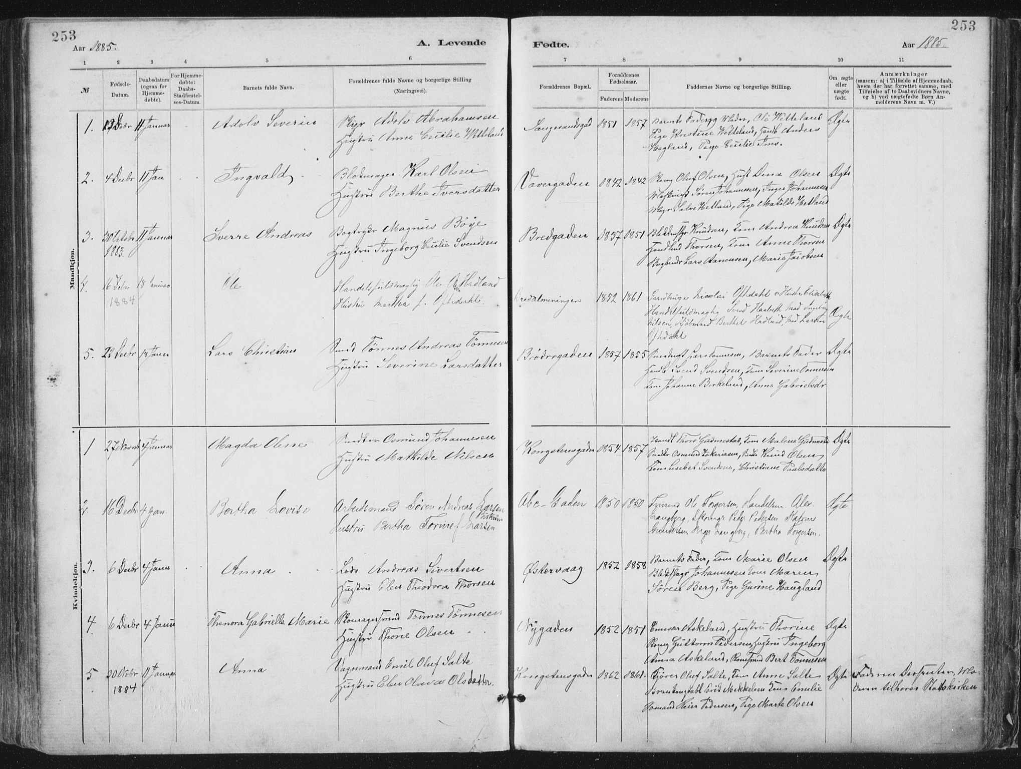 St. Petri sokneprestkontor, AV/SAST-A-101813/001/30/30BA/L0015: Parish register (official) no. A 15, 1879-1888, p. 253