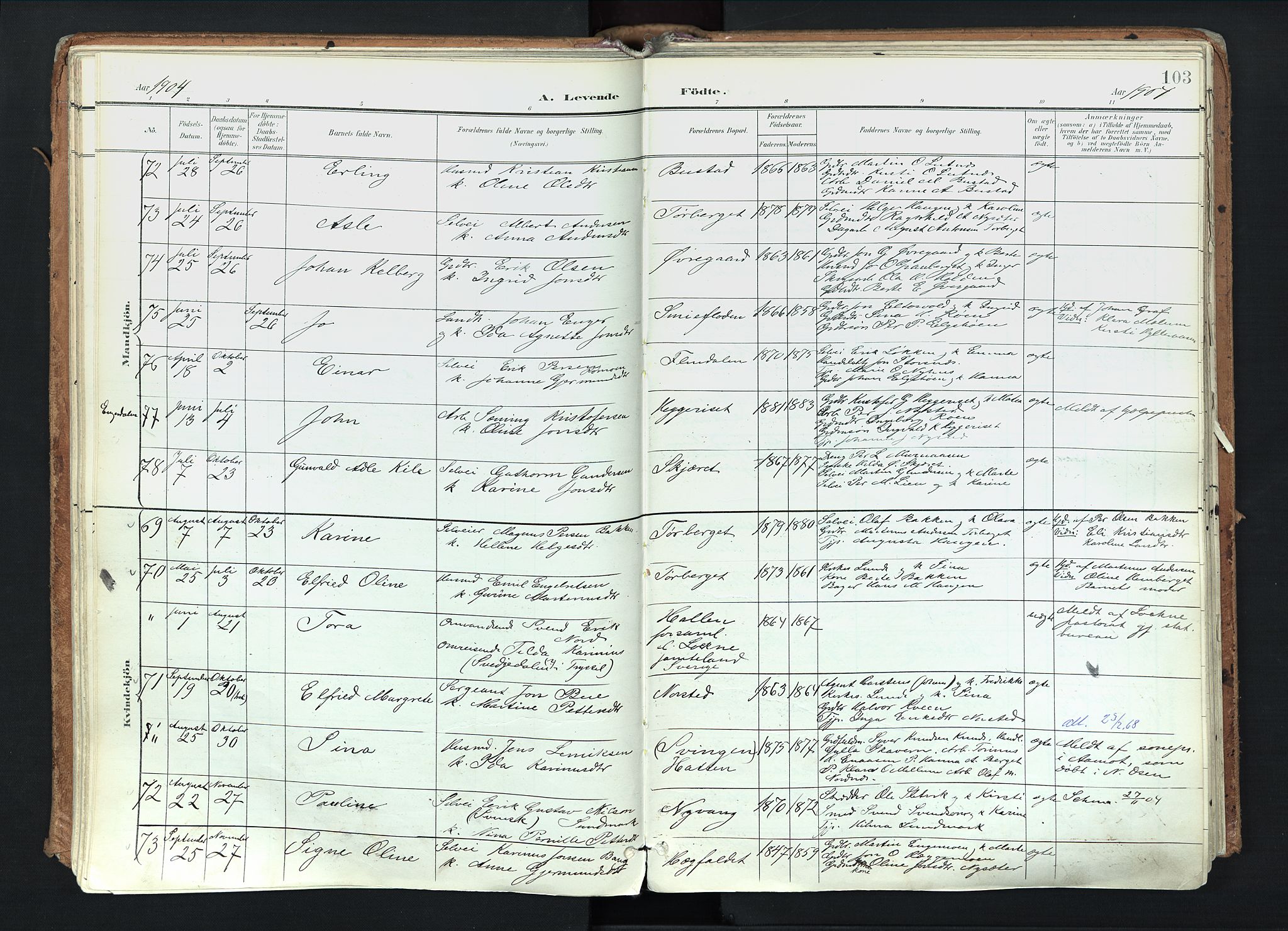 Trysil prestekontor, AV/SAH-PREST-046/H/Ha/Haa/L0012: Parish register (official) no. 12, 1898-1917, p. 103