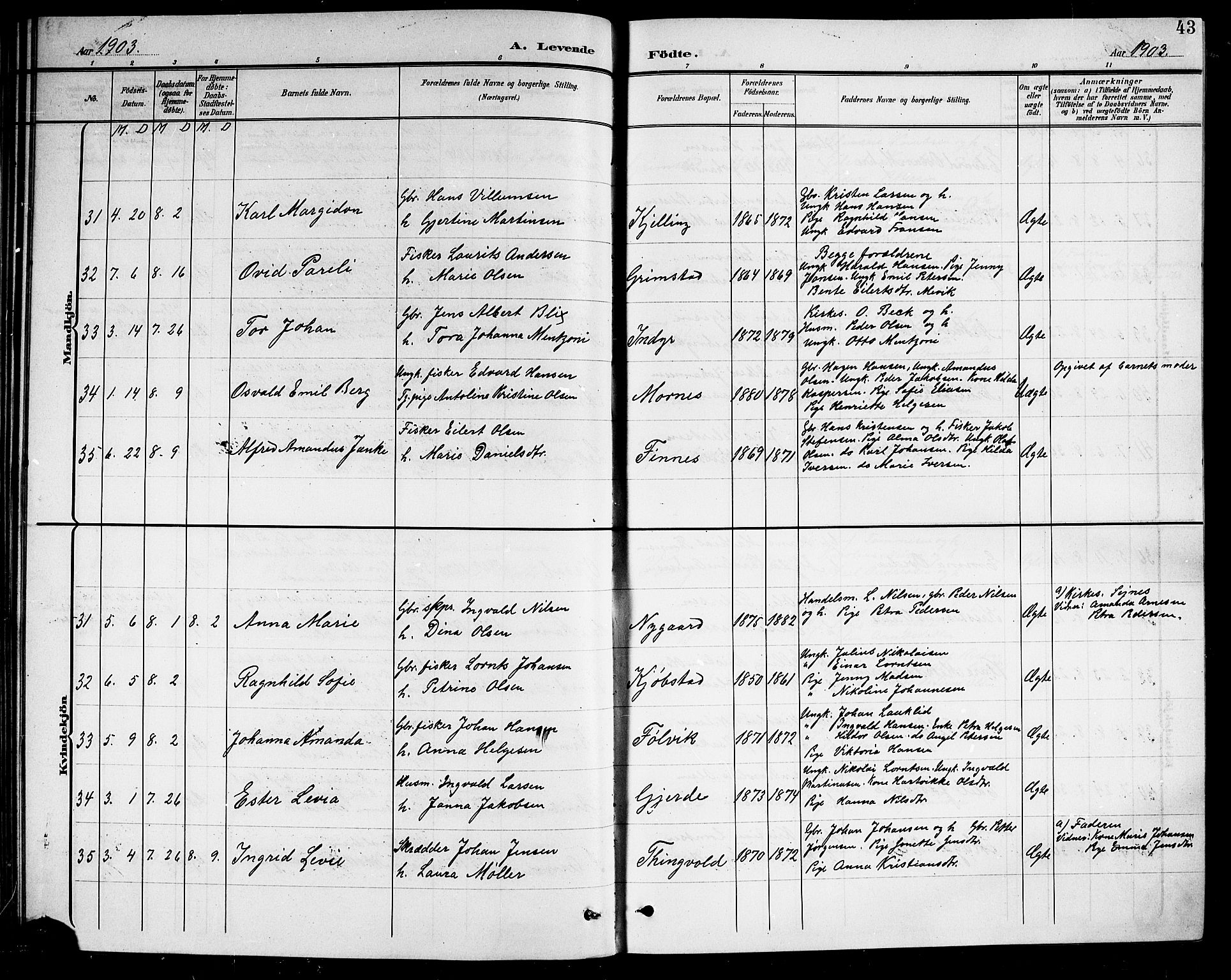 Ministerialprotokoller, klokkerbøker og fødselsregistre - Nordland, AV/SAT-A-1459/805/L0109: Parish register (copy) no. 805C05, 1900-1911, p. 43