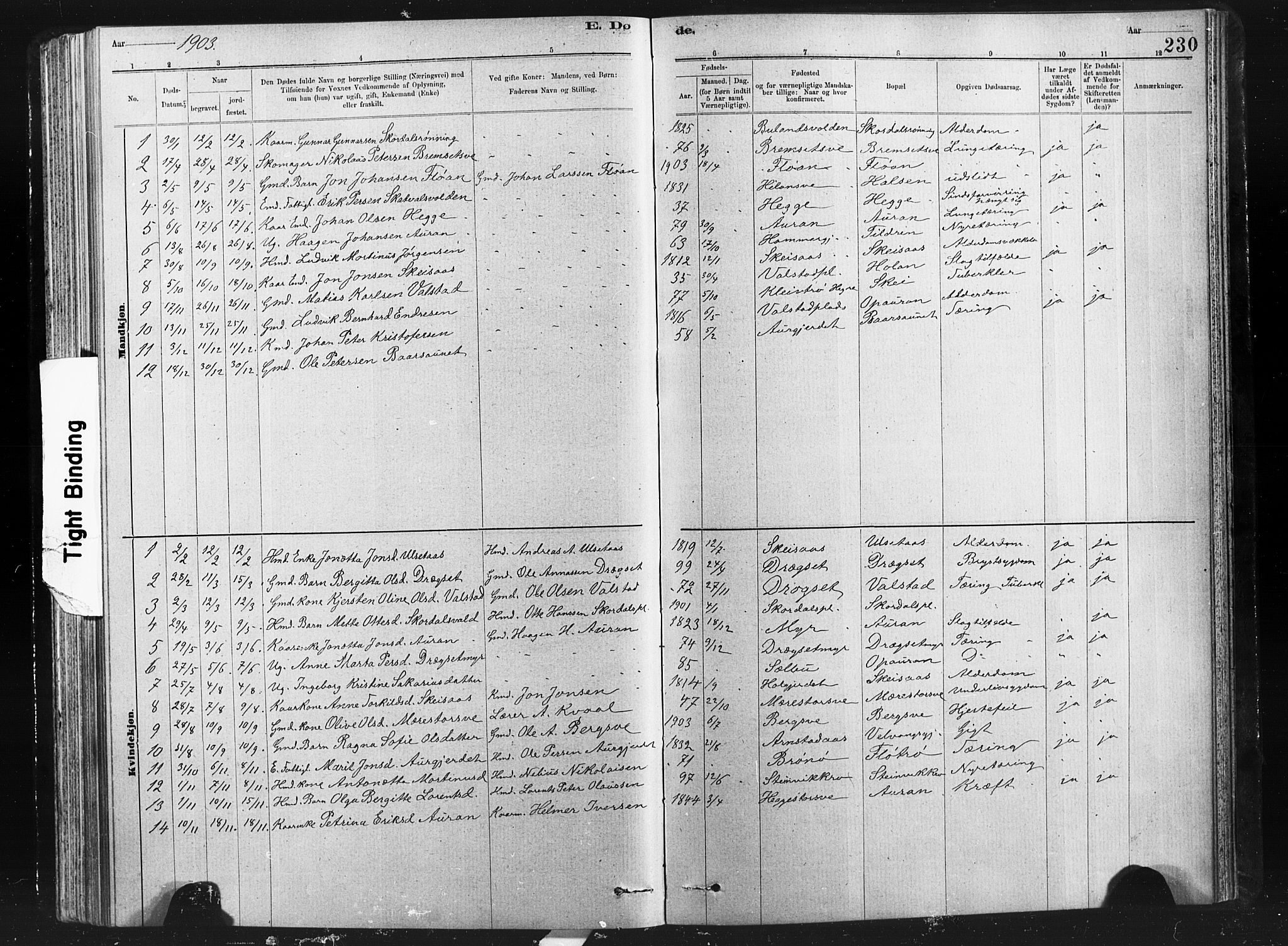 Ministerialprotokoller, klokkerbøker og fødselsregistre - Nord-Trøndelag, AV/SAT-A-1458/712/L0103: Parish register (copy) no. 712C01, 1878-1917, p. 230