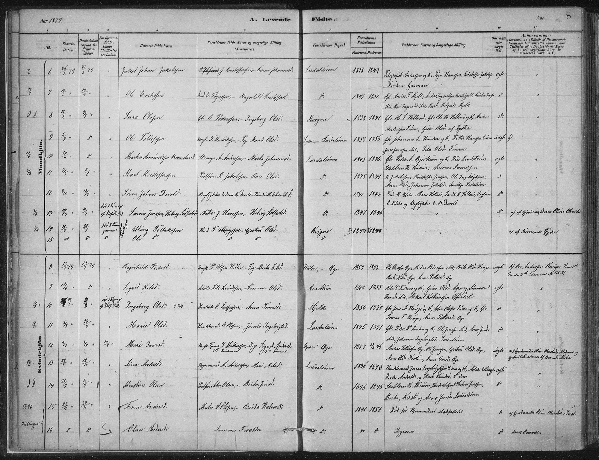Lærdal sokneprestembete, SAB/A-81201: Parish register (official) no. D  1, 1878-1908, p. 8