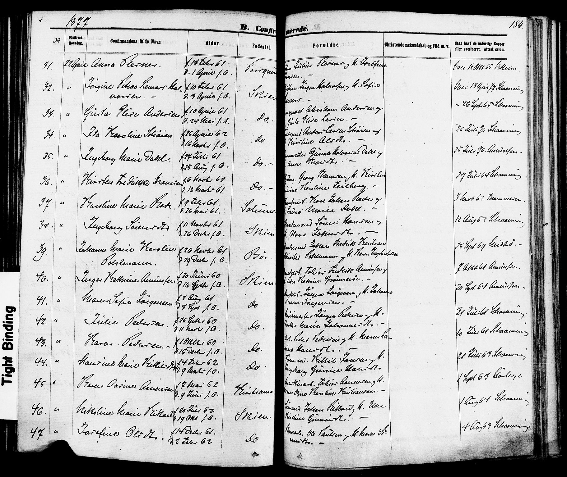 Skien kirkebøker, SAKO/A-302/F/Fa/L0008: Parish register (official) no. 8, 1866-1877, p. 184