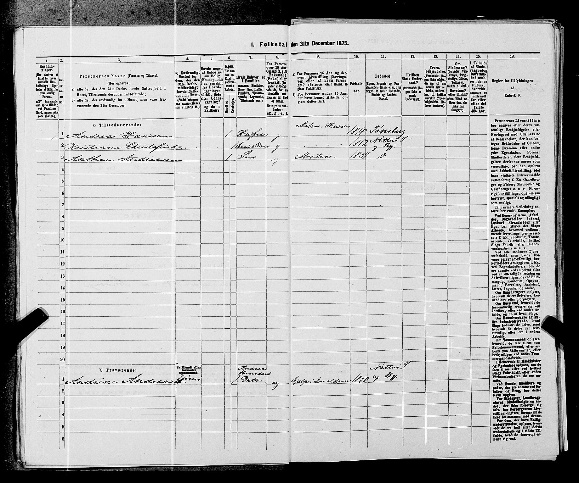 SAKO, 1875 census for 0722P Nøtterøy, 1875, p. 1752