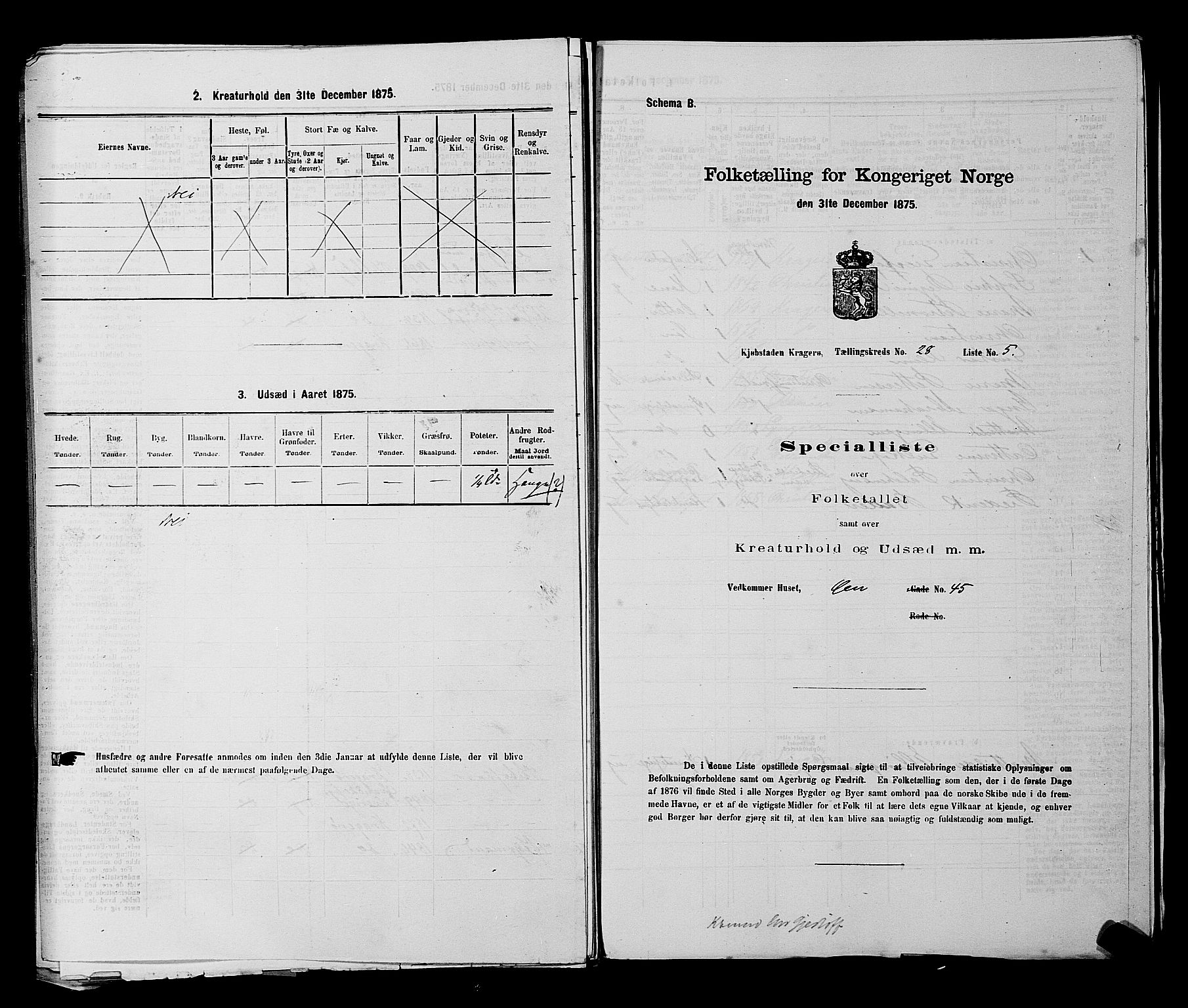 SAKO, 1875 census for 0801P Kragerø, 1875, p. 617