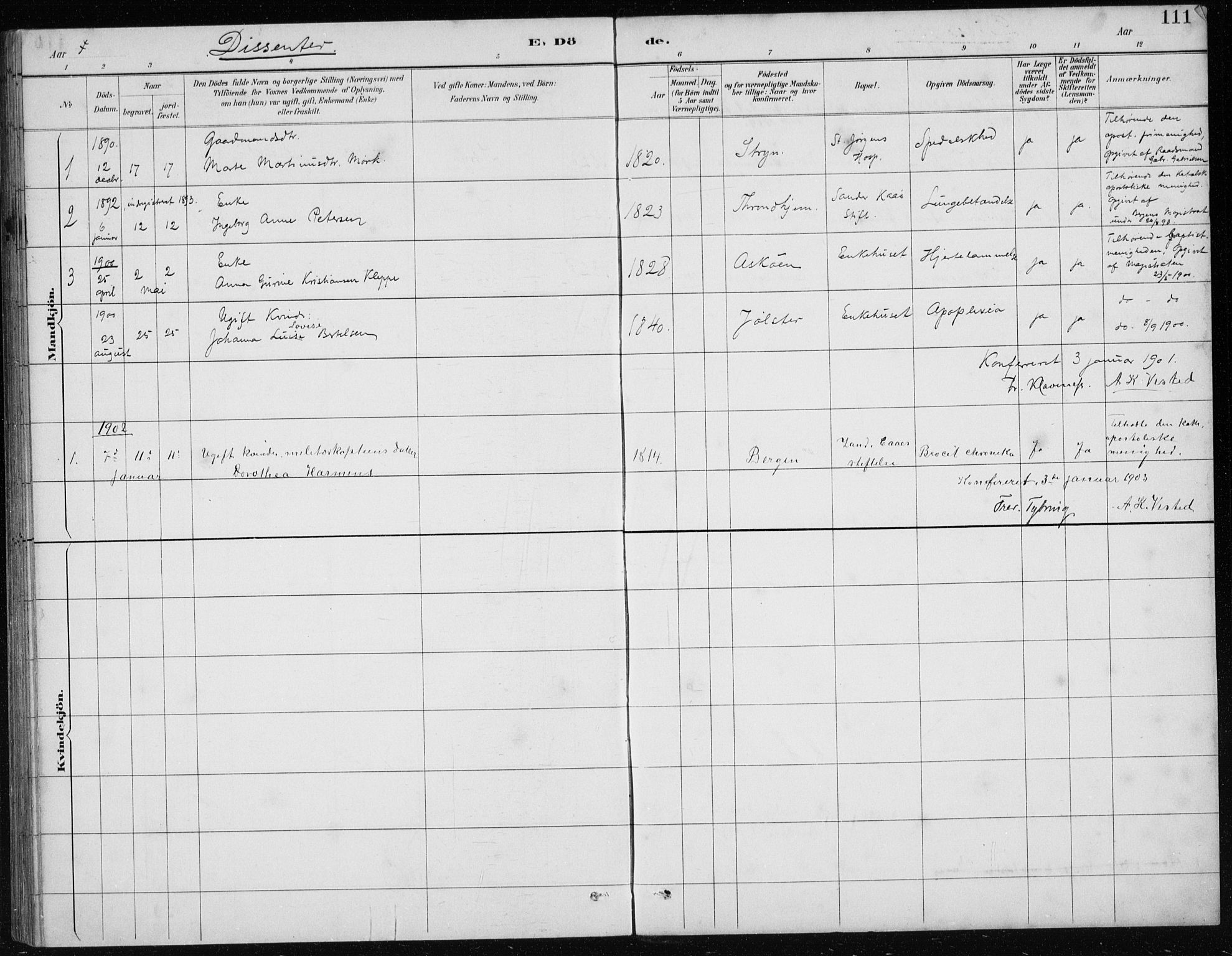 St. Jørgens hospital og Årstad sokneprestembete, AV/SAB-A-99934: Parish register (copy) no. A 10, 1886-1910, p. 111