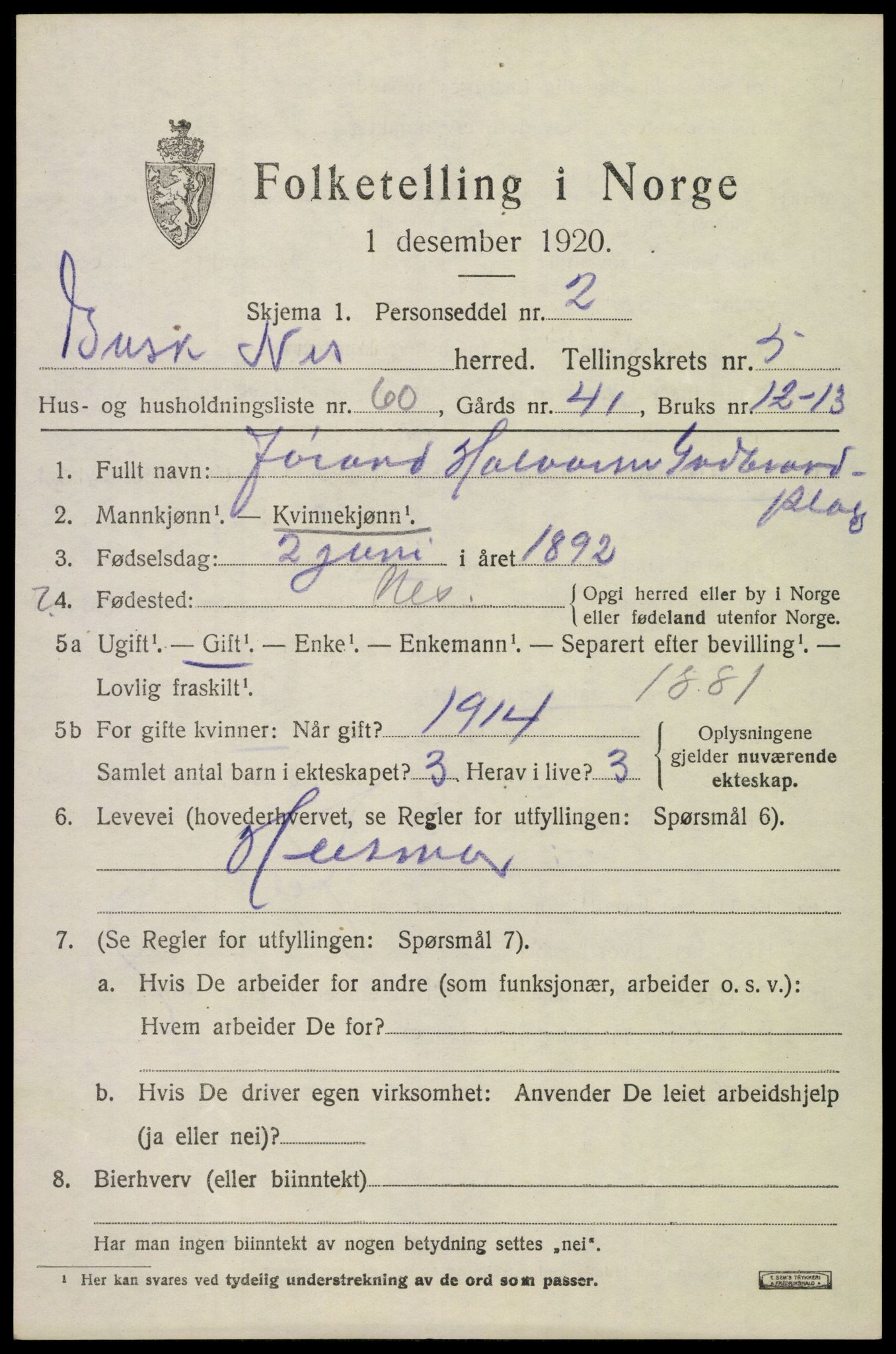 SAKO, 1920 census for Nes (Buskerud), 1920, p. 3046