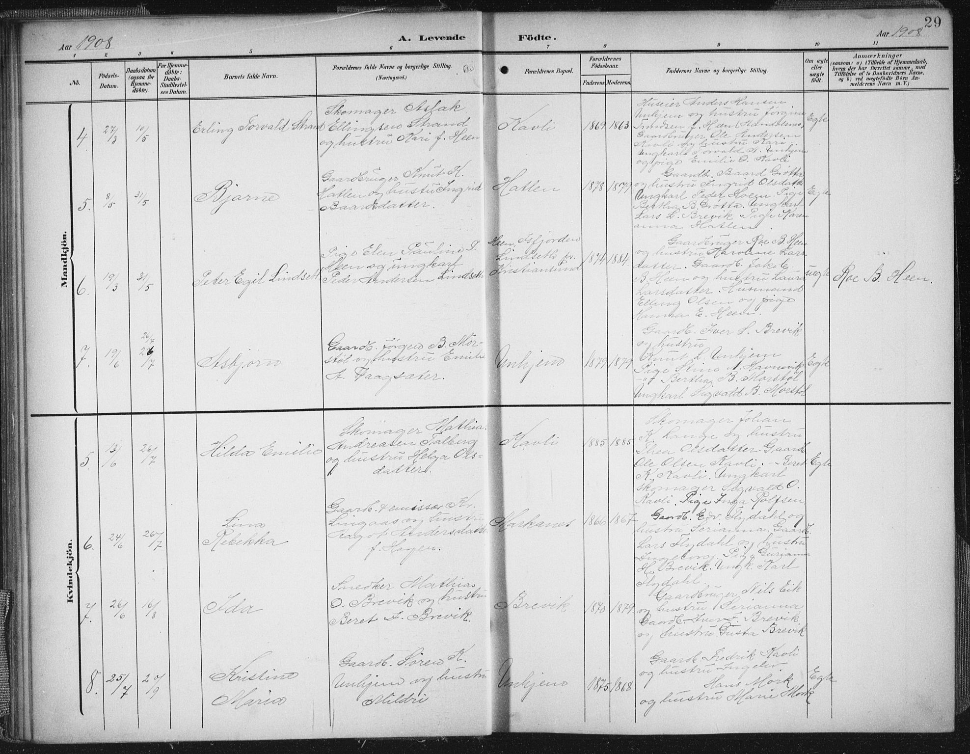 Ministerialprotokoller, klokkerbøker og fødselsregistre - Møre og Romsdal, SAT/A-1454/545/L0589: Parish register (copy) no. 545C03, 1902-1937, p. 29