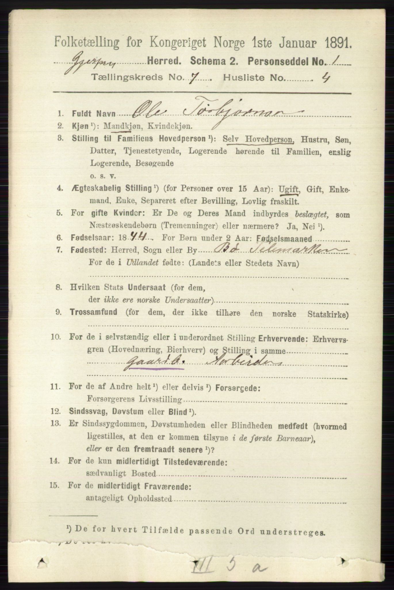 RA, 1891 census for 0812 Gjerpen, 1891, p. 3416