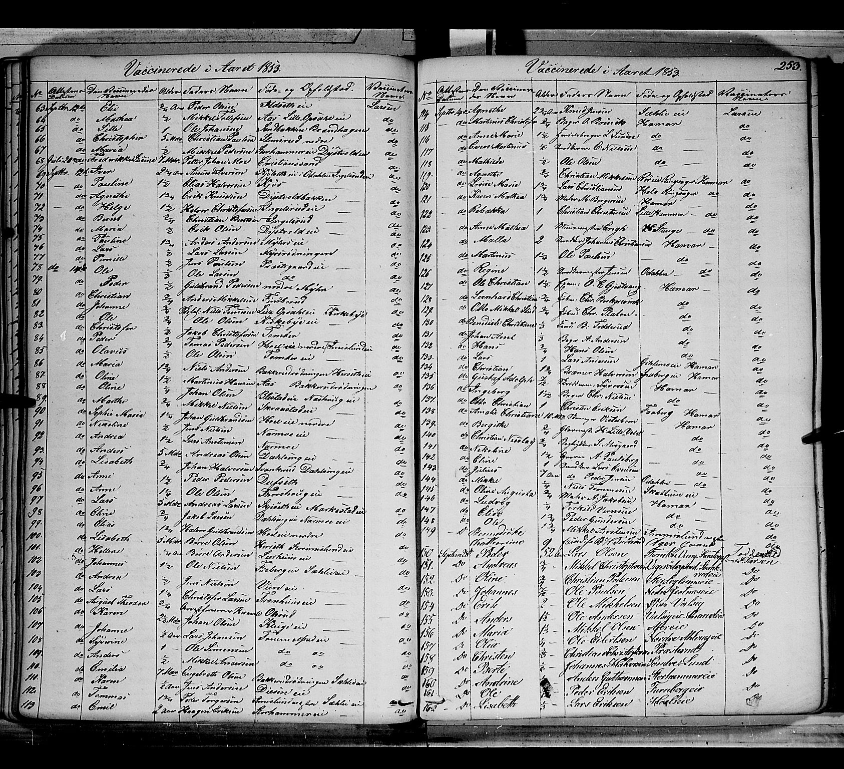 Vang prestekontor, Hedmark, AV/SAH-PREST-008/H/Ha/Haa/L0010: Parish register (official) no. 10, 1841-1855, p. 253