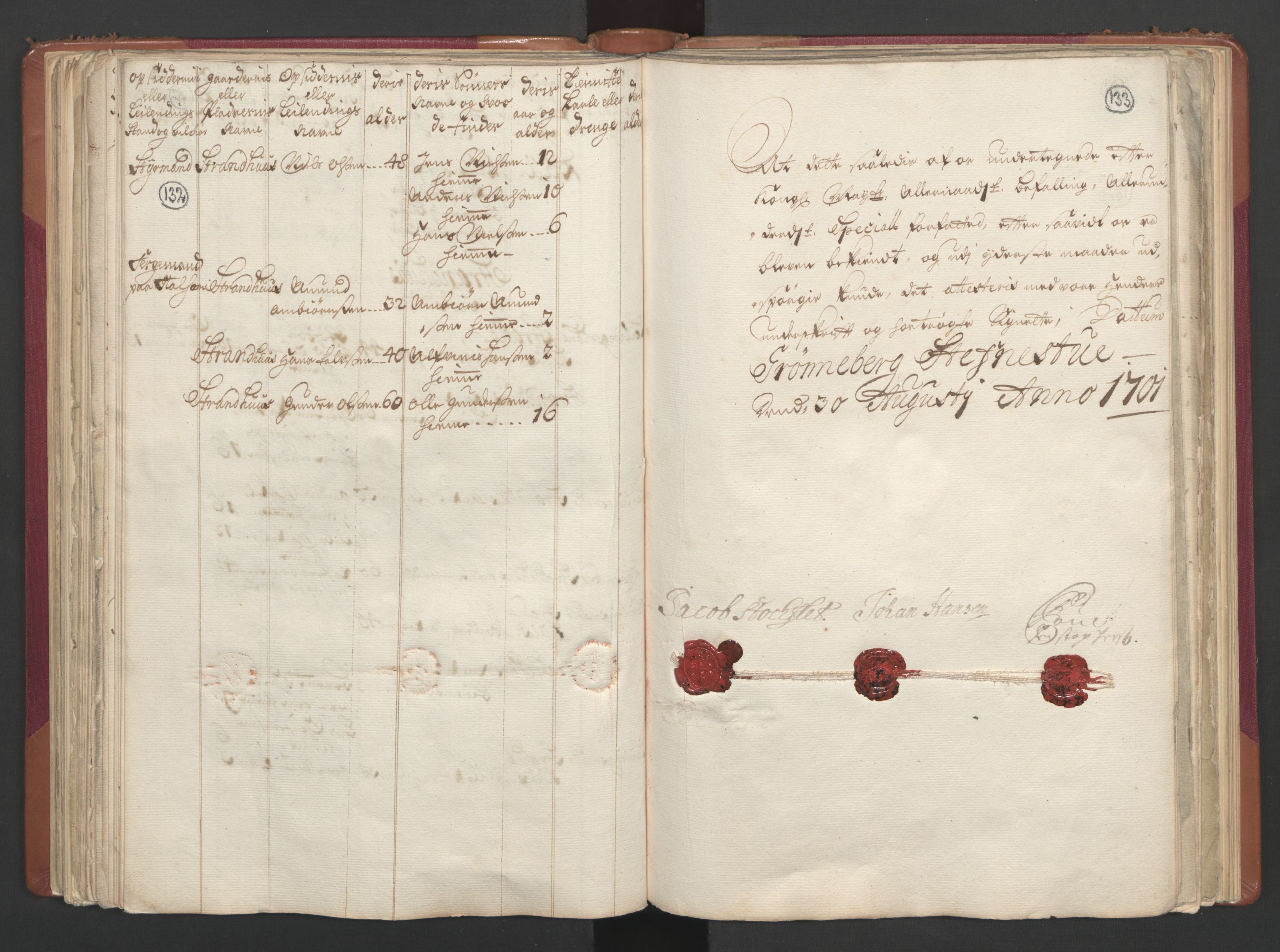 RA, Census (manntall) 1701, no. 2: Solør, Odal og Østerdal fogderi and Larvik grevskap, 1701, p. 132-133