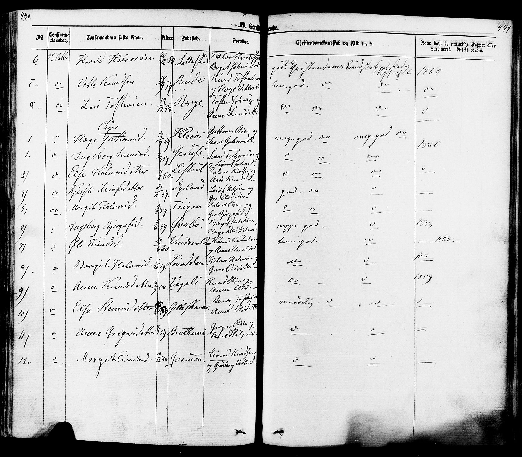 Seljord kirkebøker, SAKO/A-20/F/Fa/L0013: Parish register (official) no. I 13, 1866-1876, p. 440-441