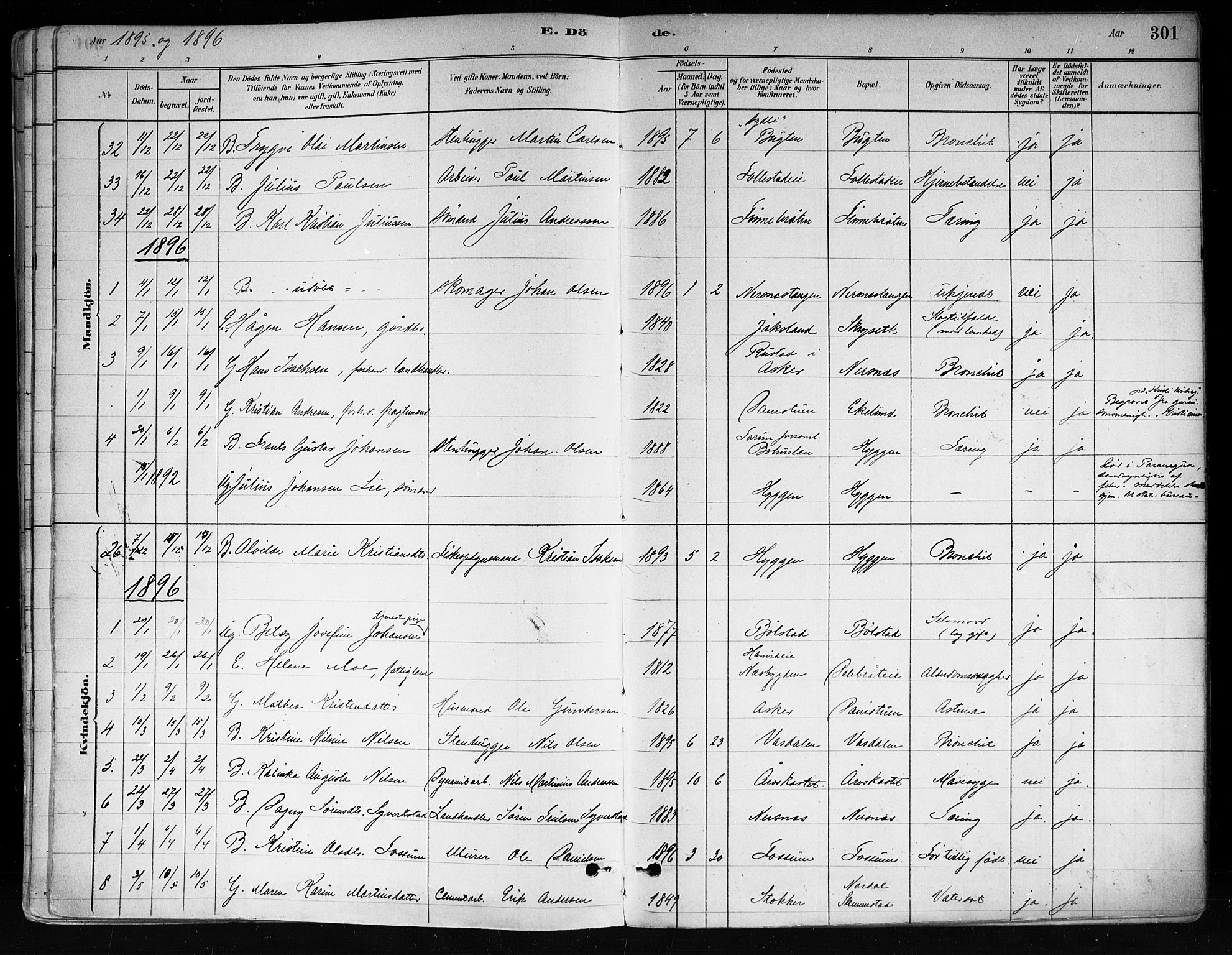 Røyken kirkebøker, SAKO/A-241/F/Fa/L0008: Parish register (official) no. 8, 1880-1897, p. 301