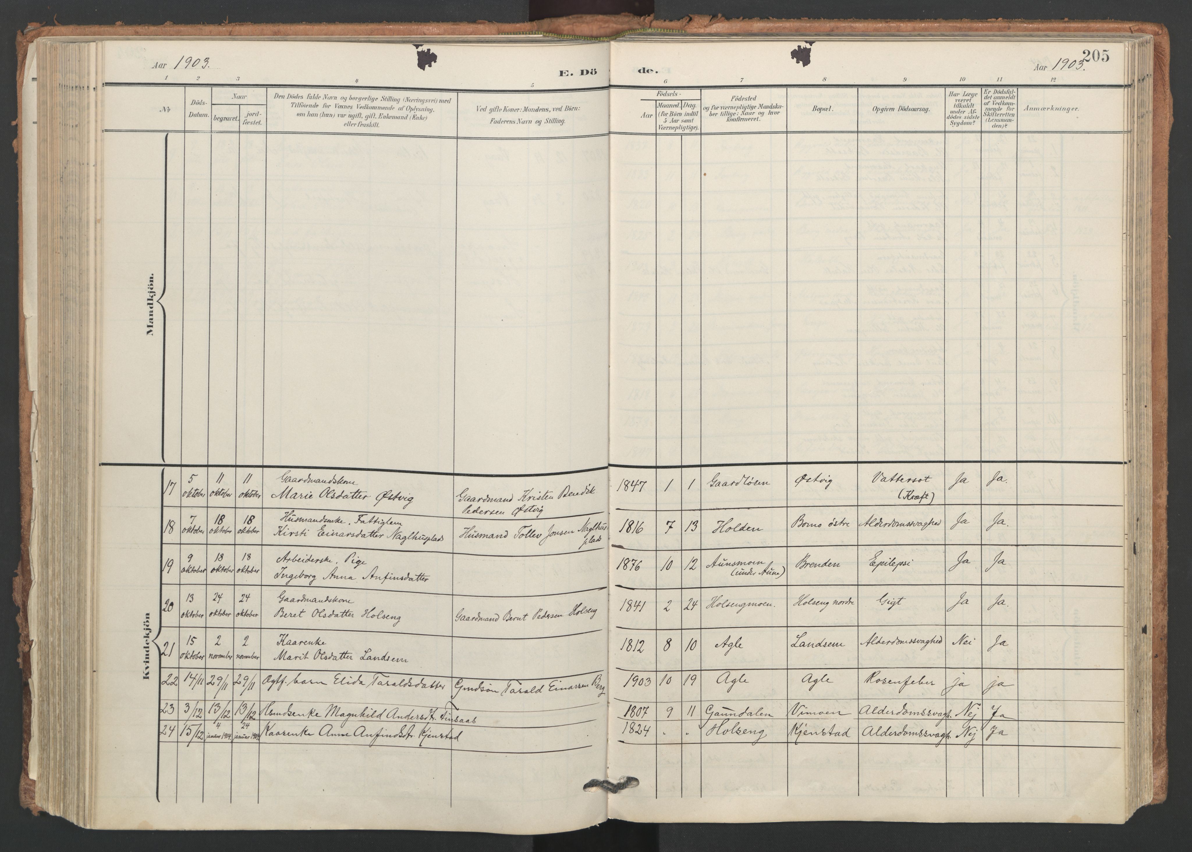 Ministerialprotokoller, klokkerbøker og fødselsregistre - Nord-Trøndelag, SAT/A-1458/749/L0477: Parish register (official) no. 749A11, 1902-1927, p. 205