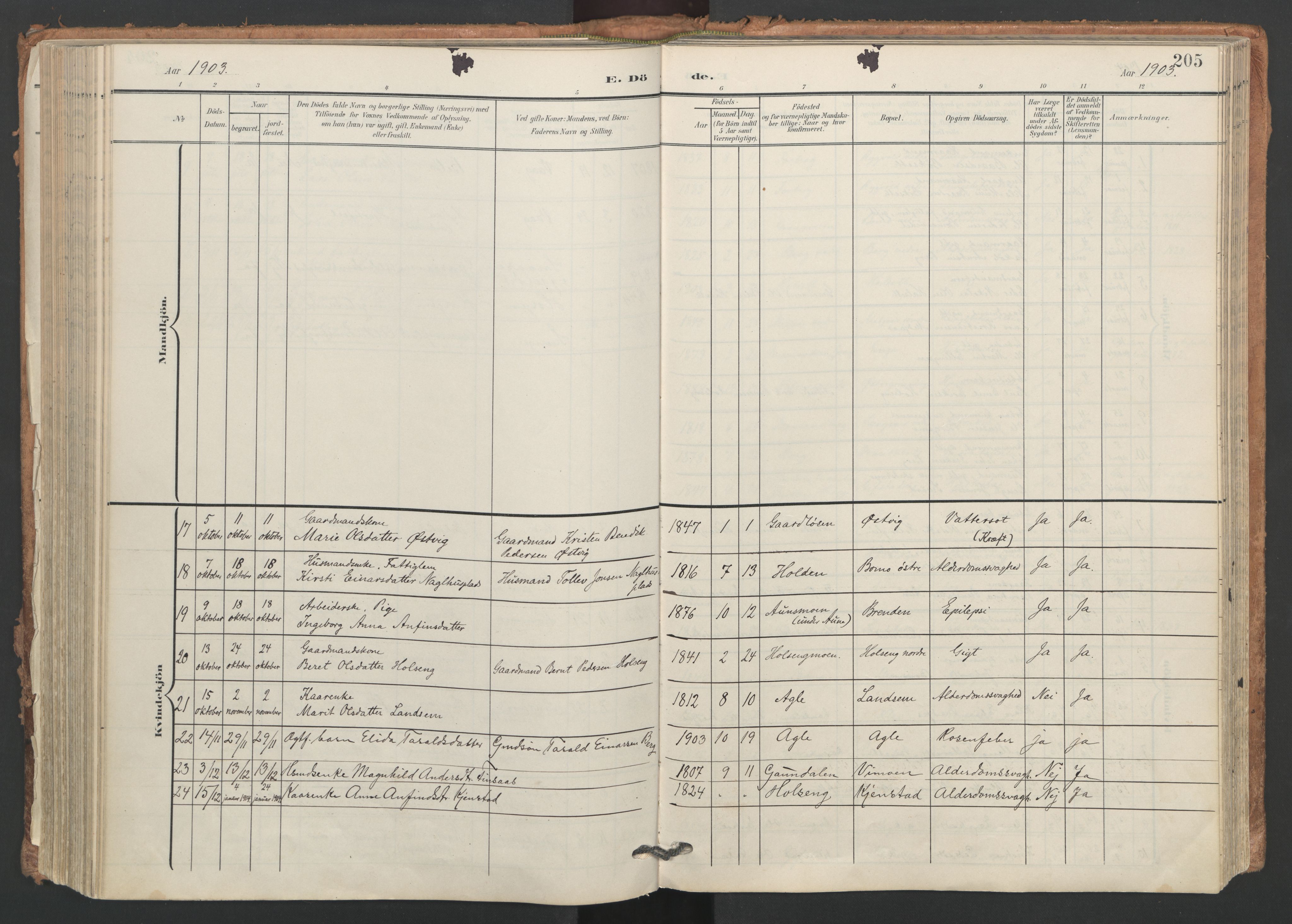 Ministerialprotokoller, klokkerbøker og fødselsregistre - Nord-Trøndelag, AV/SAT-A-1458/749/L0477: Parish register (official) no. 749A11, 1902-1927, p. 205