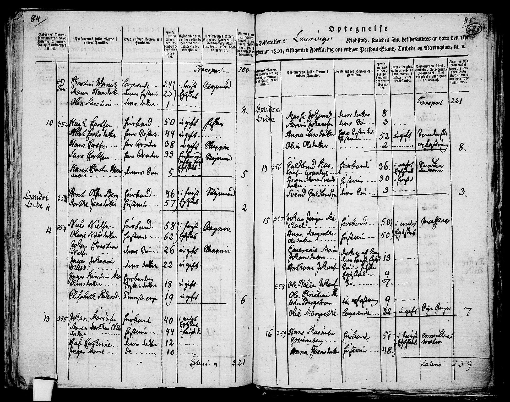 RA, 1801 census for 0707P Larvik, 1801, p. 592b-593a