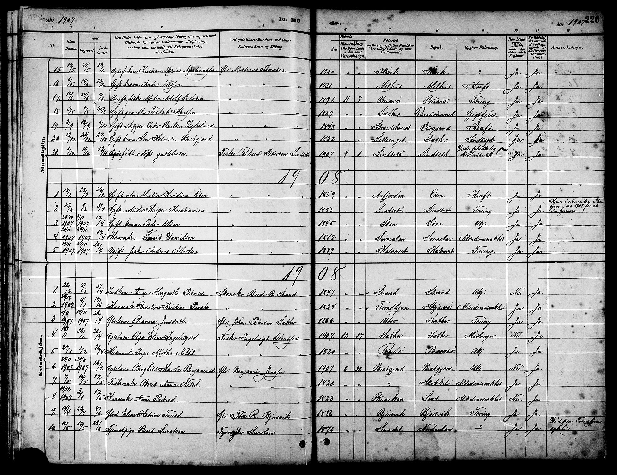 Ministerialprotokoller, klokkerbøker og fødselsregistre - Sør-Trøndelag, SAT/A-1456/658/L0726: Parish register (copy) no. 658C02, 1883-1908, p. 226