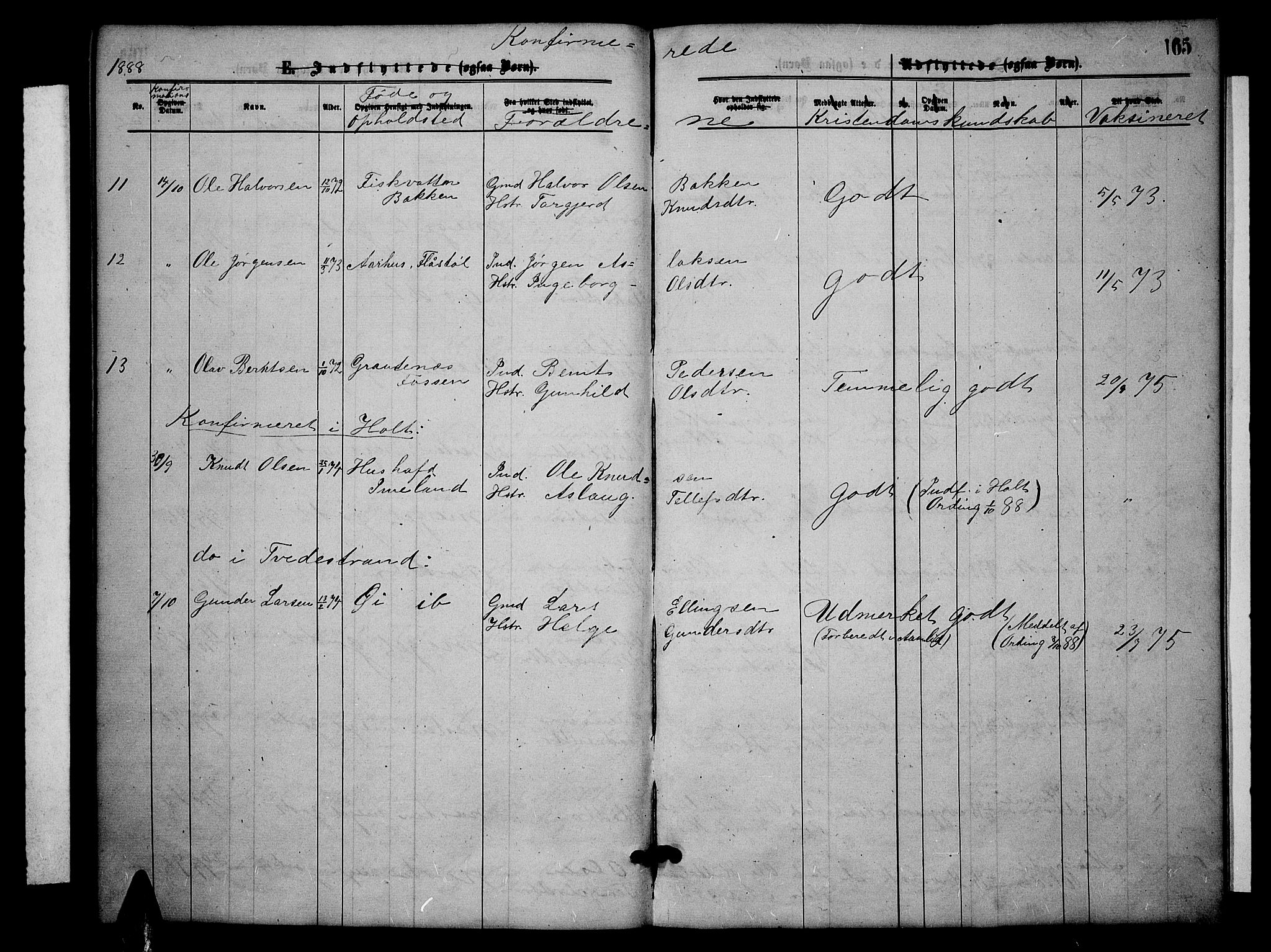 Åmli sokneprestkontor, SAK/1111-0050/F/Fb/Fbc/L0003: Parish register (copy) no. B 3, 1868-1888, p. 165