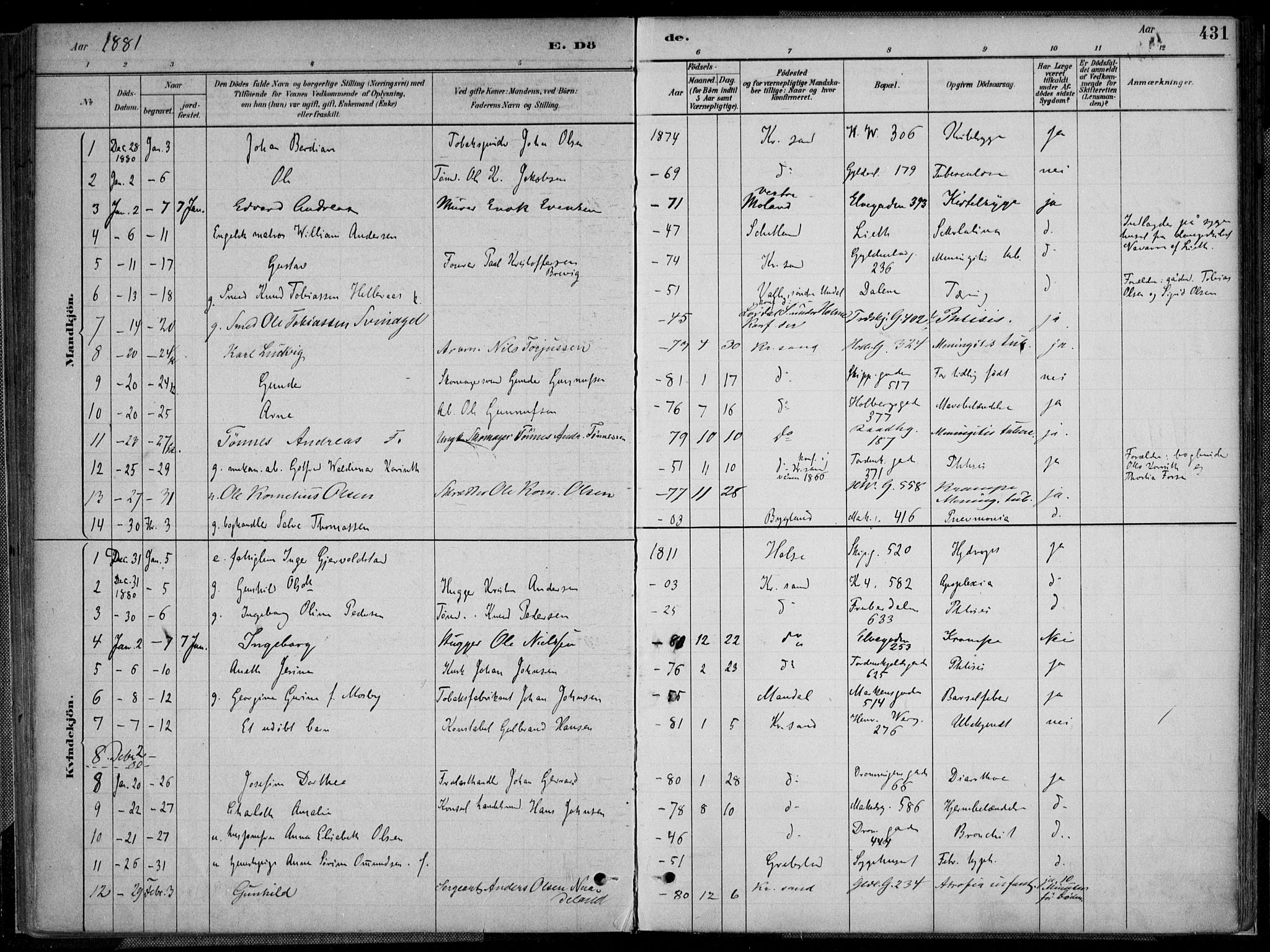 Kristiansand domprosti, SAK/1112-0006/F/Fa/L0017: Parish register (official) no. A 16B, 1880-1890, p. 431