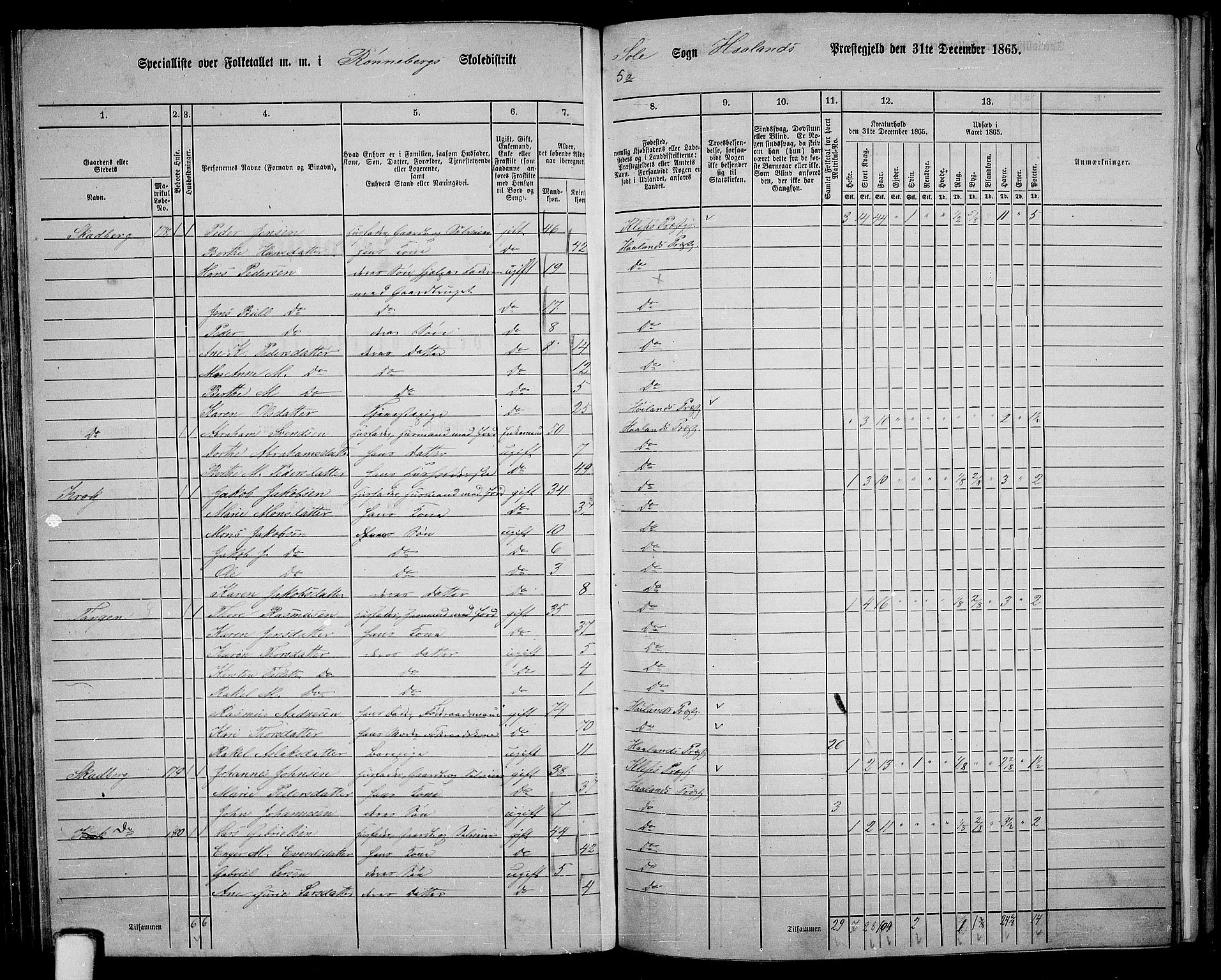 RA, 1865 census for Håland, 1865, p. 86