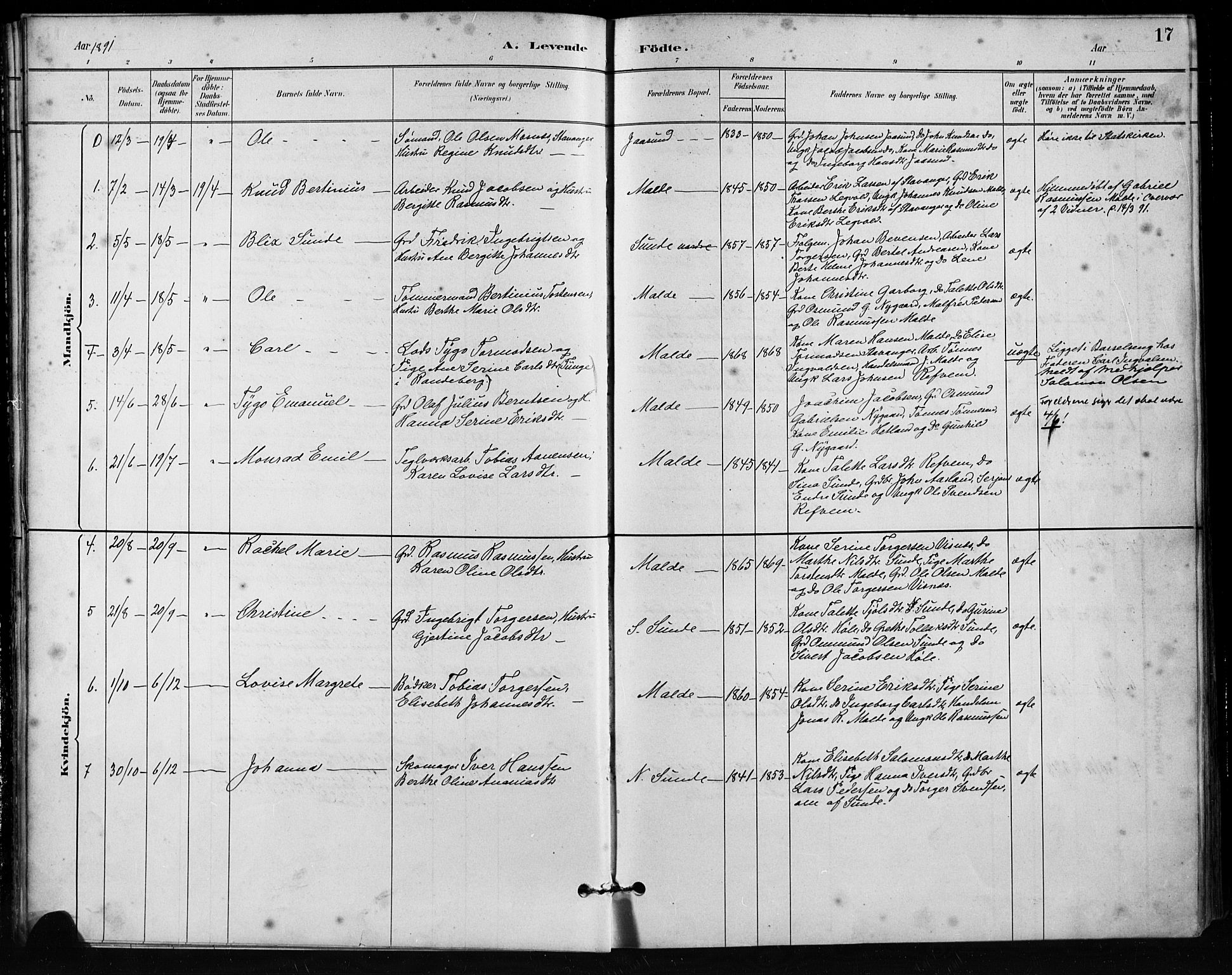 Håland sokneprestkontor, AV/SAST-A-101802/001/30BA/L0011: Parish register (official) no. A 10, 1883-1900, p. 17