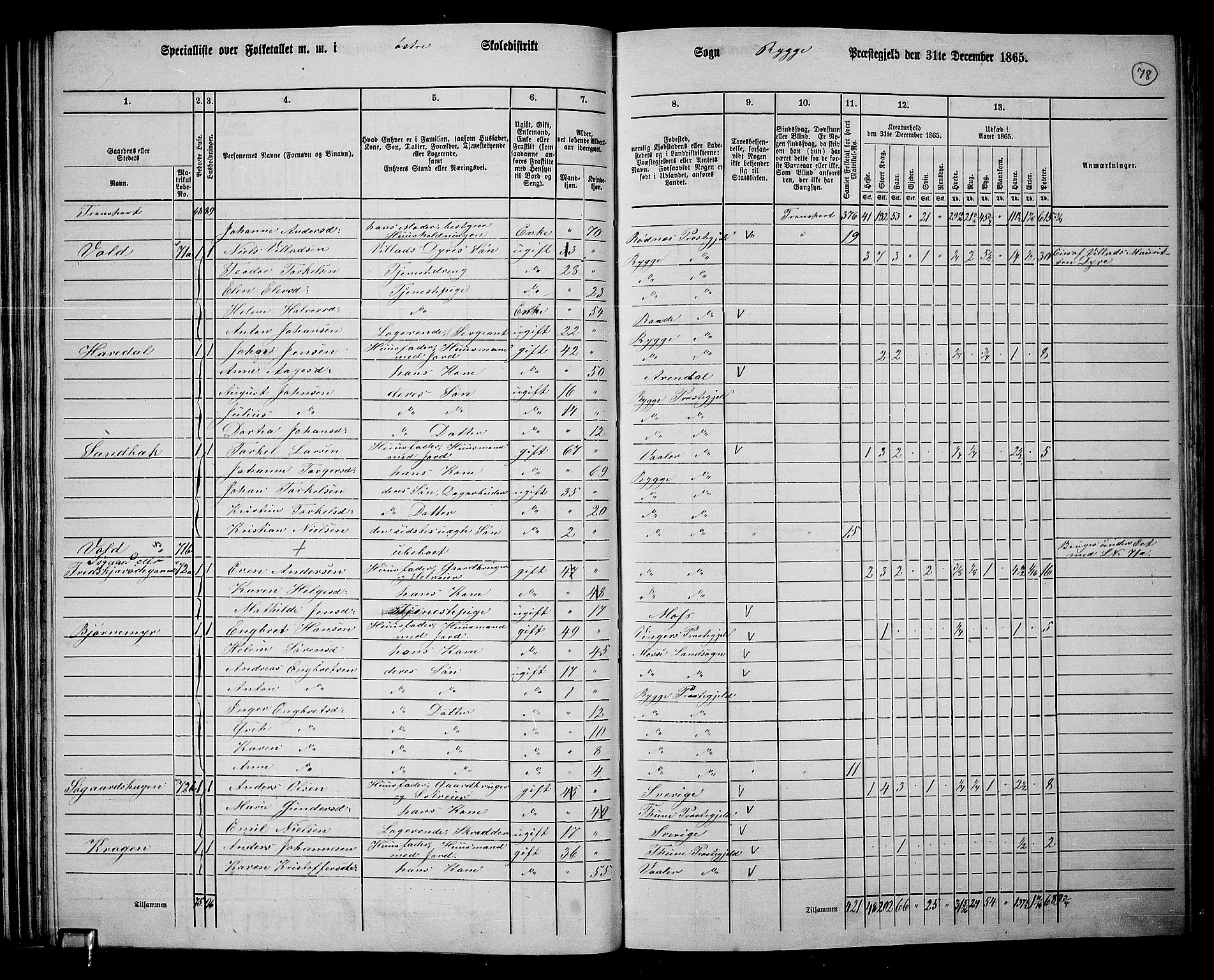 RA, 1865 census for Rygge, 1865, p. 21