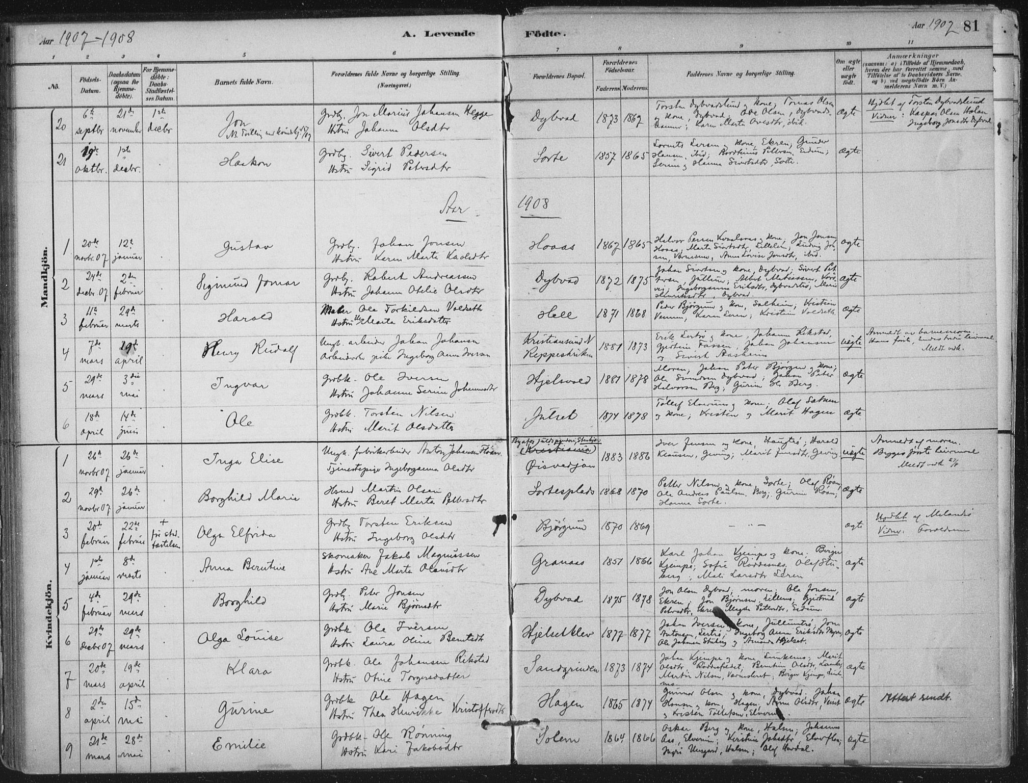 Ministerialprotokoller, klokkerbøker og fødselsregistre - Nord-Trøndelag, SAT/A-1458/710/L0095: Parish register (official) no. 710A01, 1880-1914, p. 81