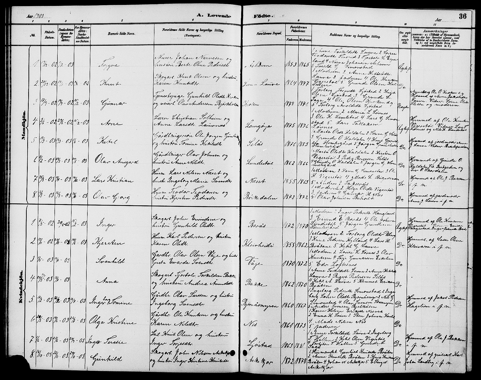 Gjerstad sokneprestkontor, SAK/1111-0014/F/Fb/Fbb/L0004: Parish register (copy) no. B 4, 1890-1910, p. 36