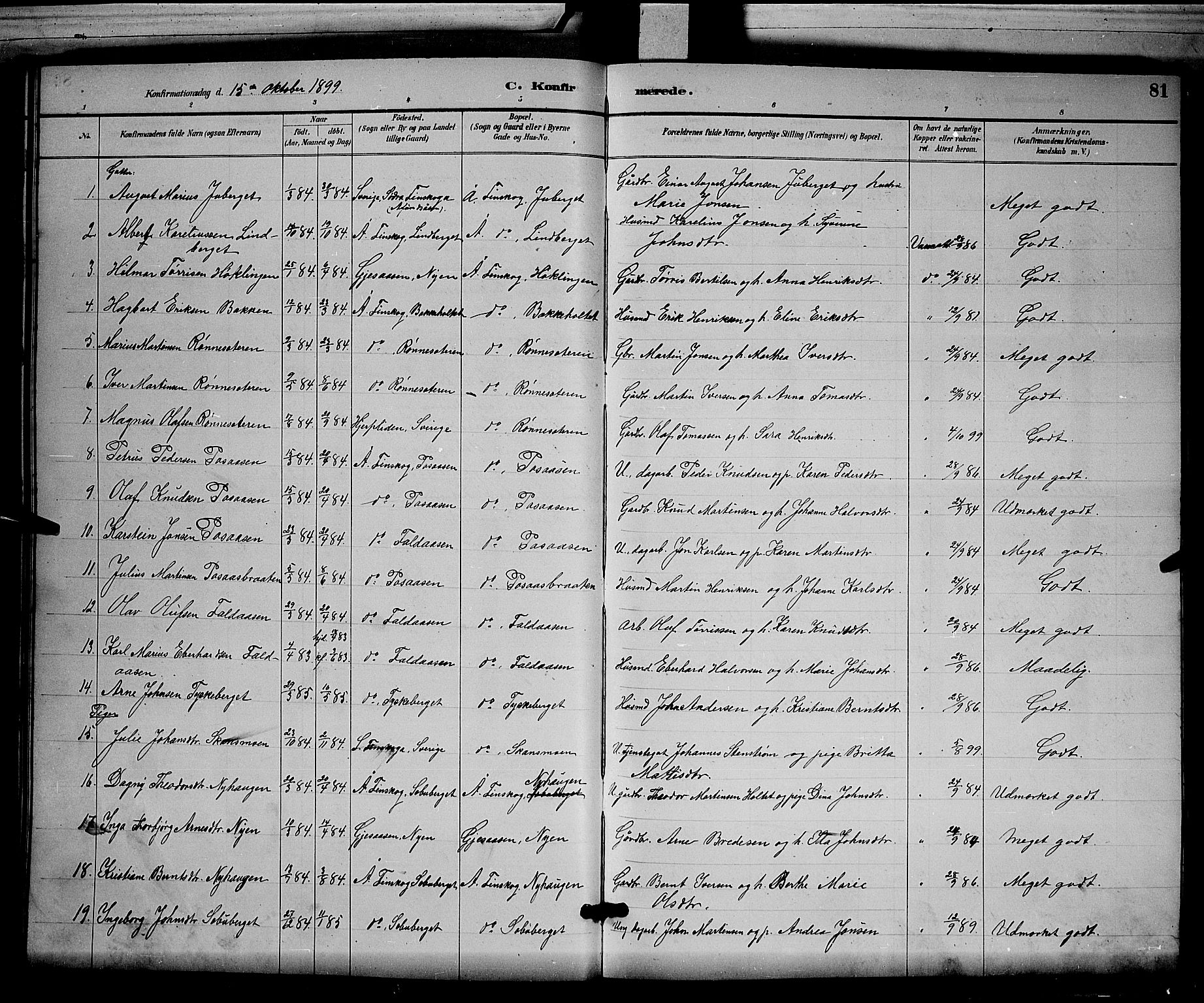 Åsnes prestekontor, AV/SAH-PREST-042/H/Ha/Hab/L0003: Parish register (copy) no. 3, 1890-1902, p. 81