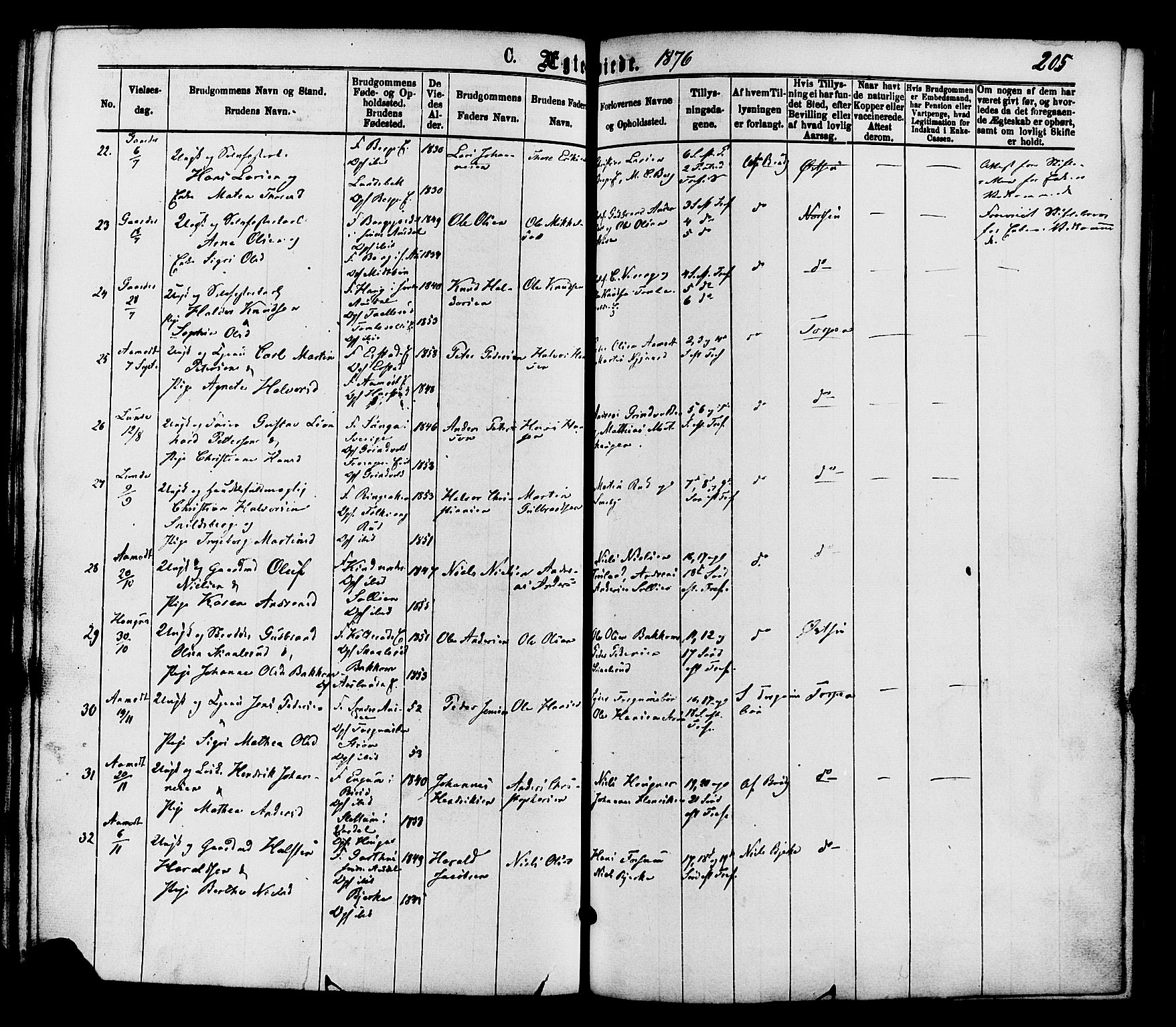 Nordre Land prestekontor, AV/SAH-PREST-124/H/Ha/Haa/L0002: Parish register (official) no. 2, 1872-1881, p. 205