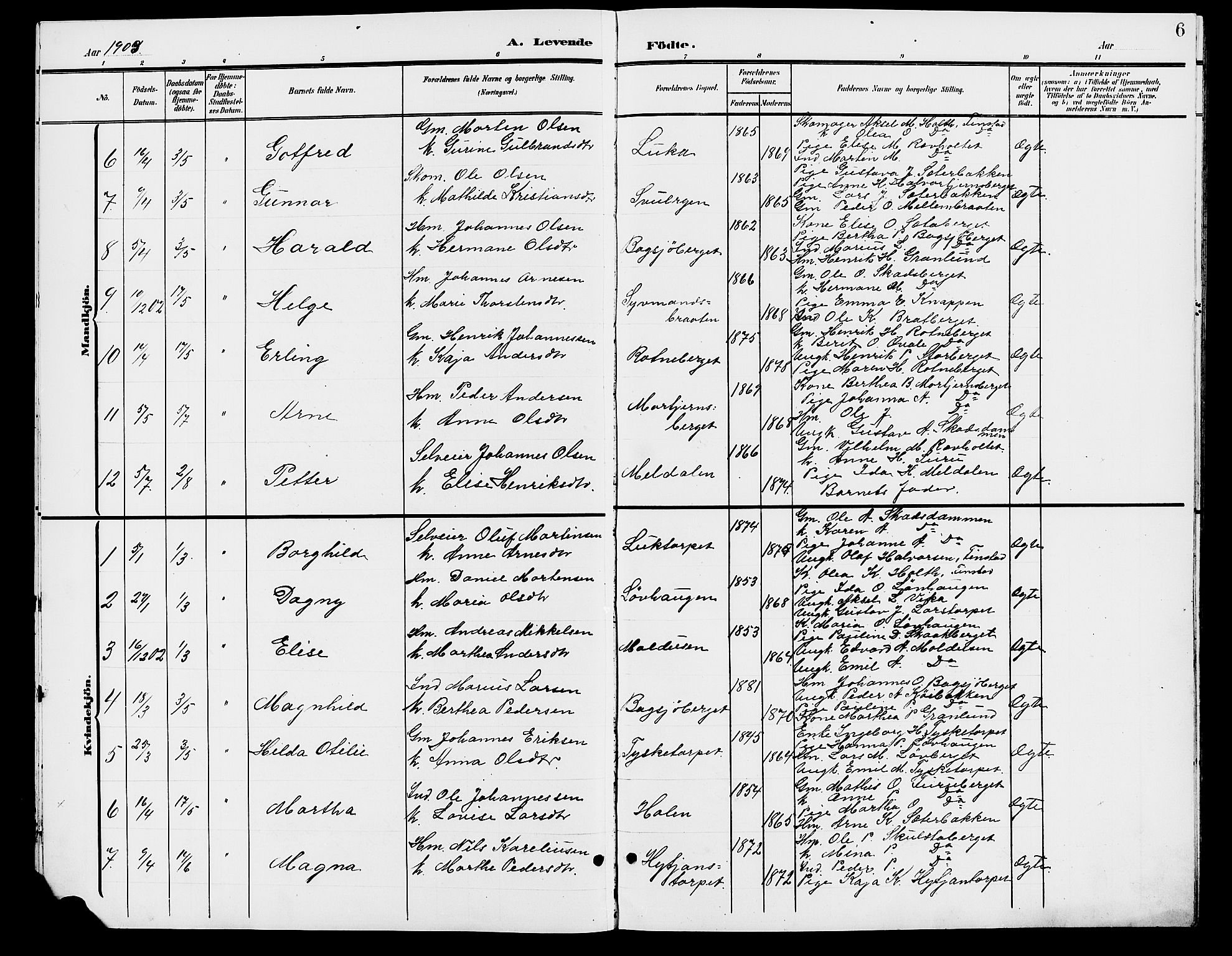 Grue prestekontor, AV/SAH-PREST-036/H/Ha/Hab/L0006: Parish register (copy) no. 6, 1902-1910, p. 6