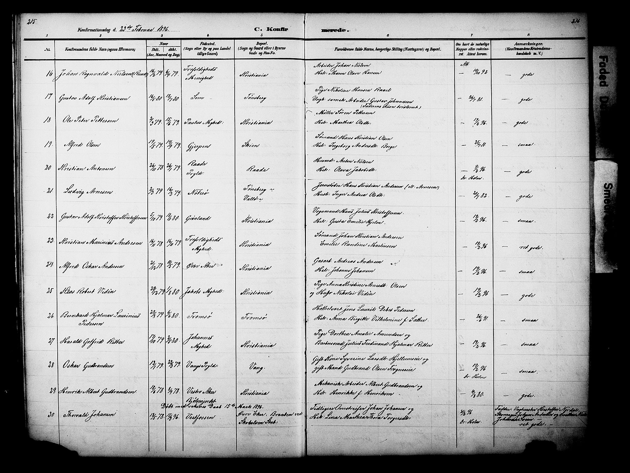 Nes prestekontor, Hedmark, AV/SAH-PREST-020/L/La/L0006: Parish register (copy) no. 6, 1890-1932, p. 215-216