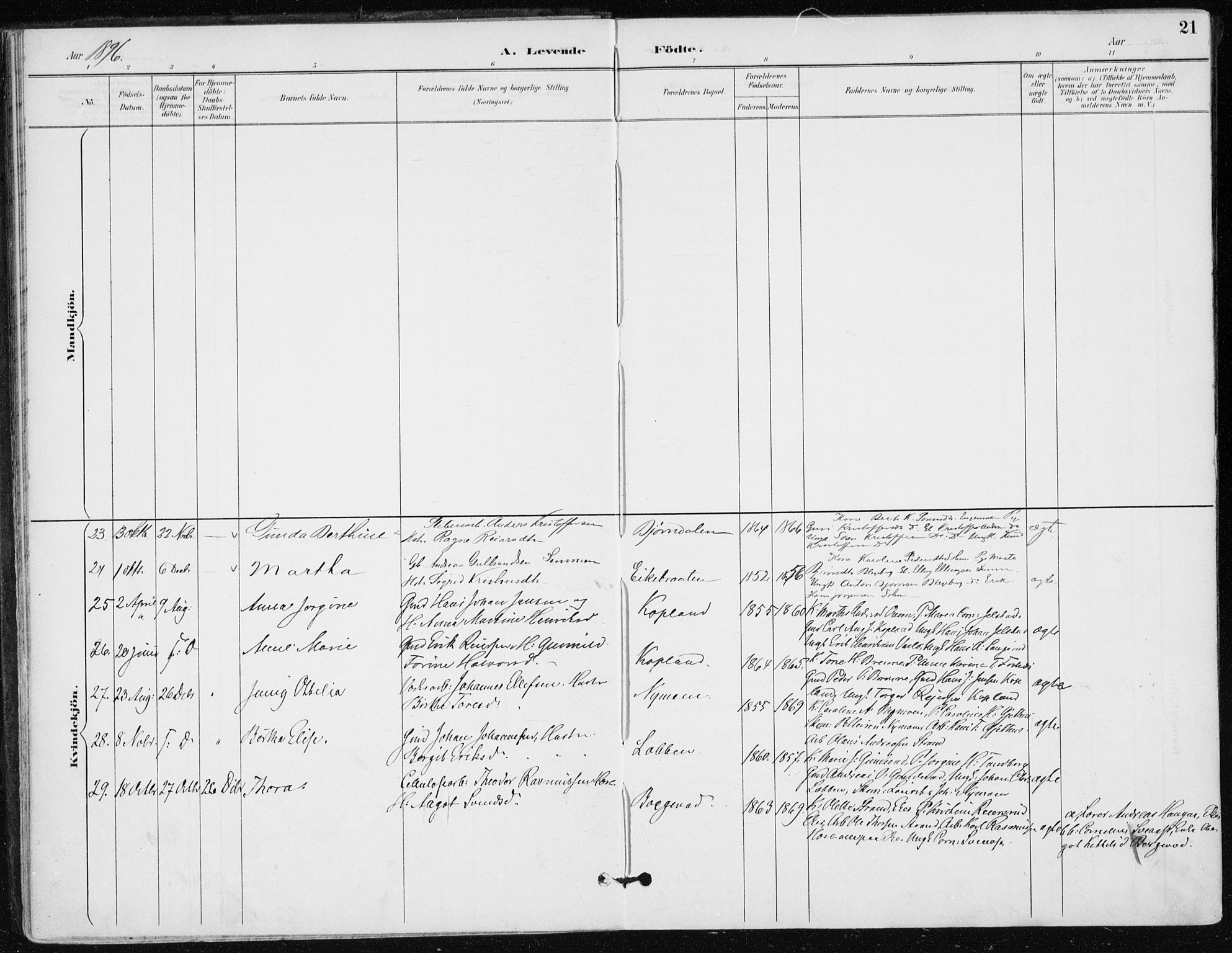 Modum kirkebøker, AV/SAKO-A-234/F/Fa/L0016: Parish register (official) no. 16, 1890-1899, p. 21