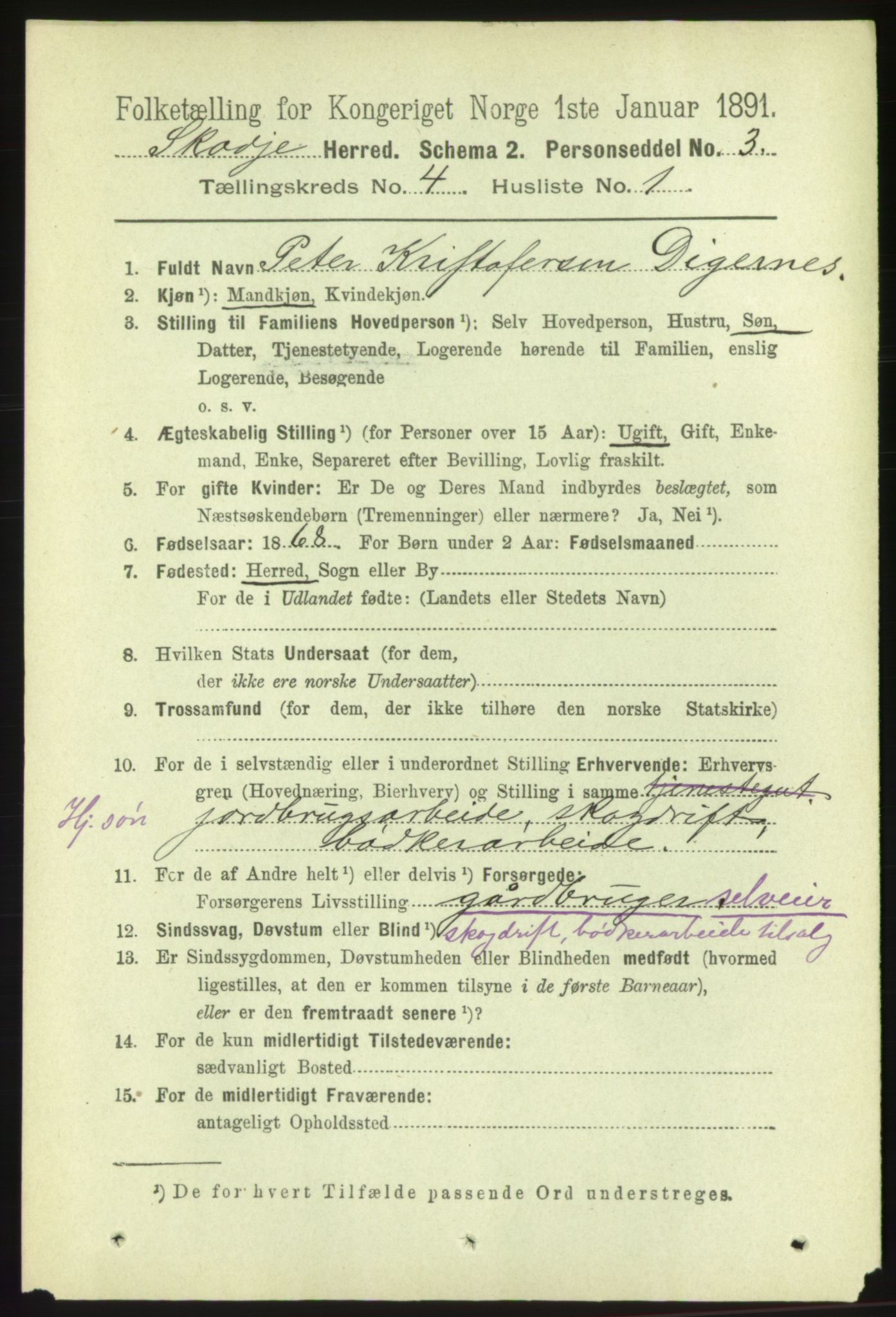 RA, 1891 census for 1529 Skodje, 1891, p. 590