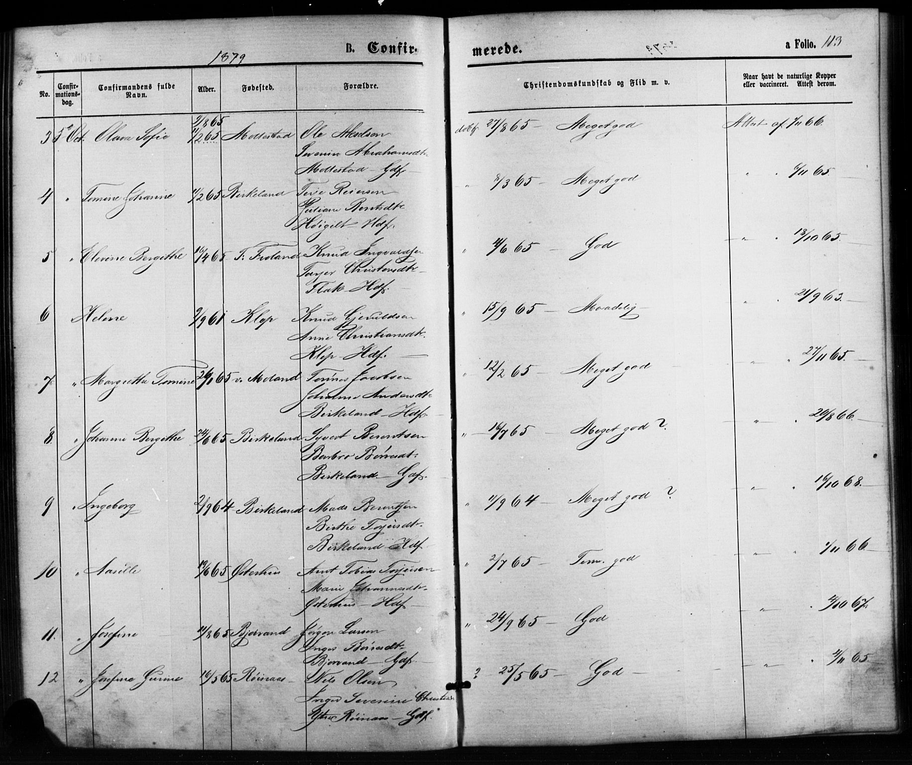 Birkenes sokneprestkontor, SAK/1111-0004/F/Fb/L0003: Parish register (copy) no. B 3, 1876-1892, p. 113