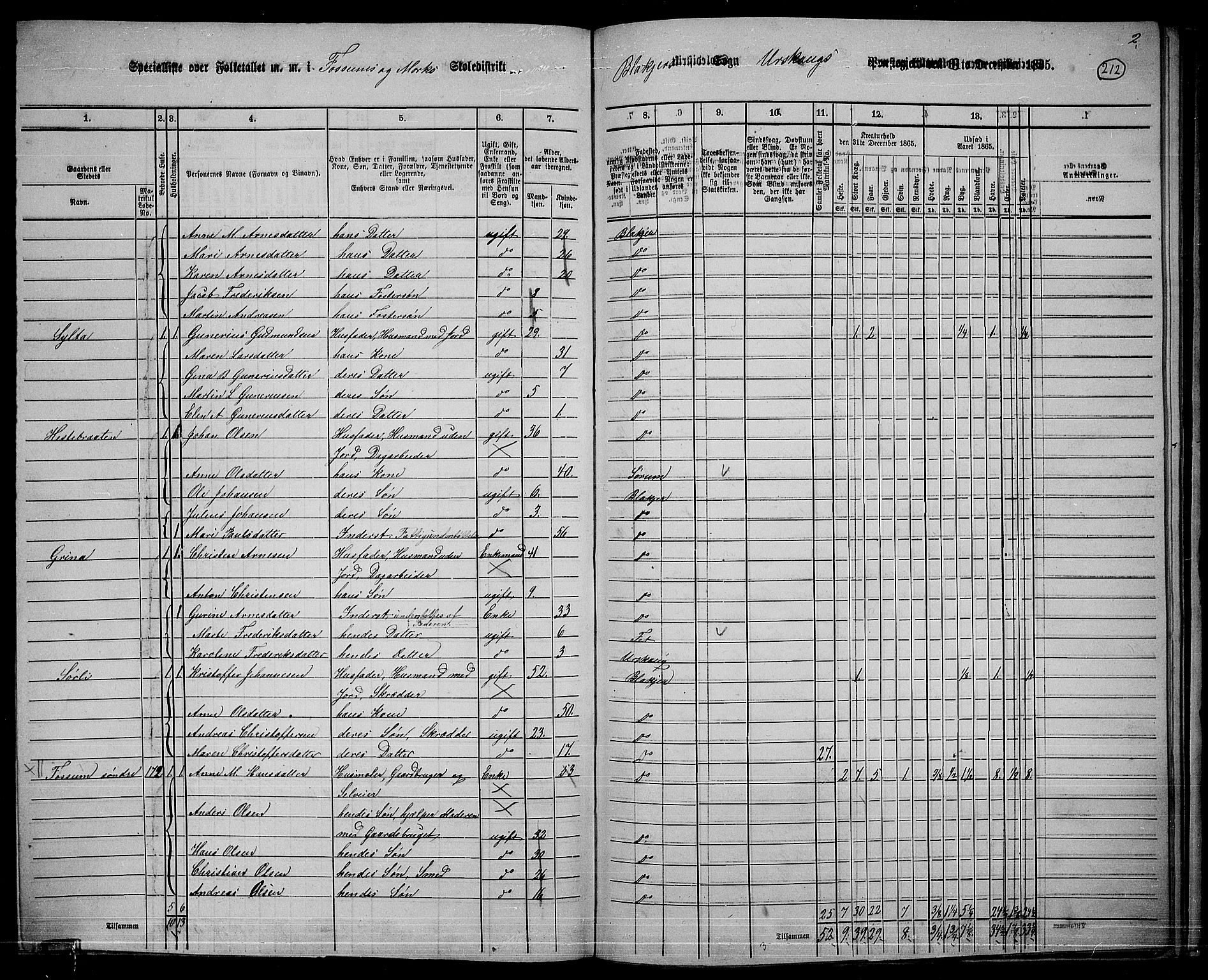 RA, 1865 census for Aurskog, 1865, p. 191