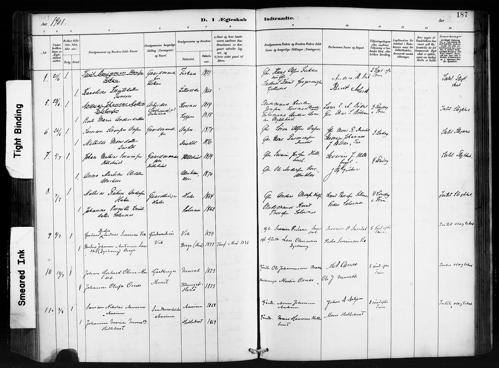 Ministerialprotokoller, klokkerbøker og fødselsregistre - Møre og Romsdal, AV/SAT-A-1454/501/L0008: Parish register (official) no. 501A08, 1885-1901, p. 187