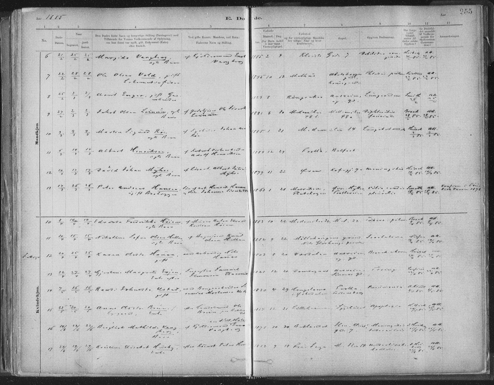 Ministerialprotokoller, klokkerbøker og fødselsregistre - Sør-Trøndelag, AV/SAT-A-1456/603/L0162: Parish register (official) no. 603A01, 1879-1895, p. 255