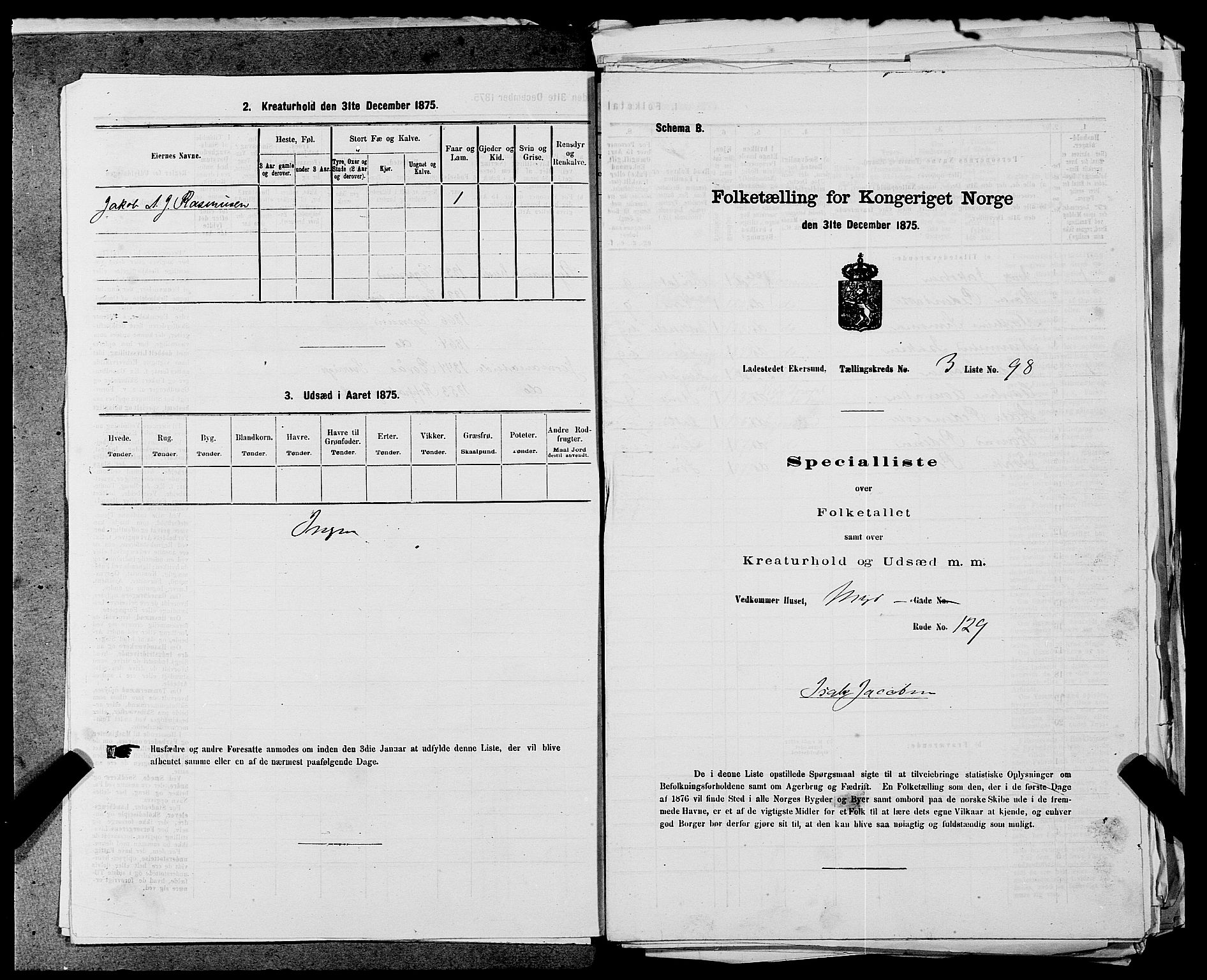 SAST, 1875 census for 1101B Eigersund parish, Egersund town, 1875, p. 208