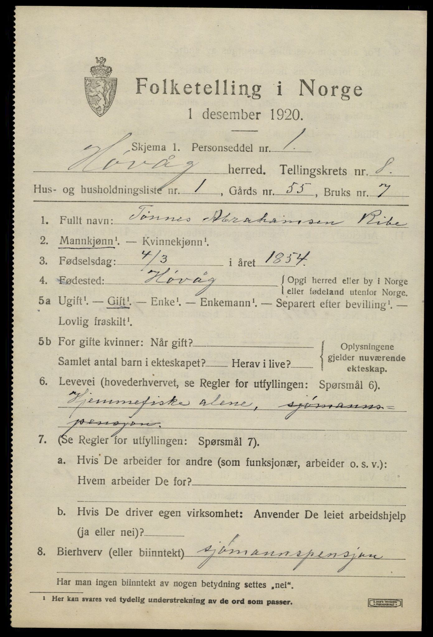 SAK, 1920 census for Høvåg, 1920, p. 4134