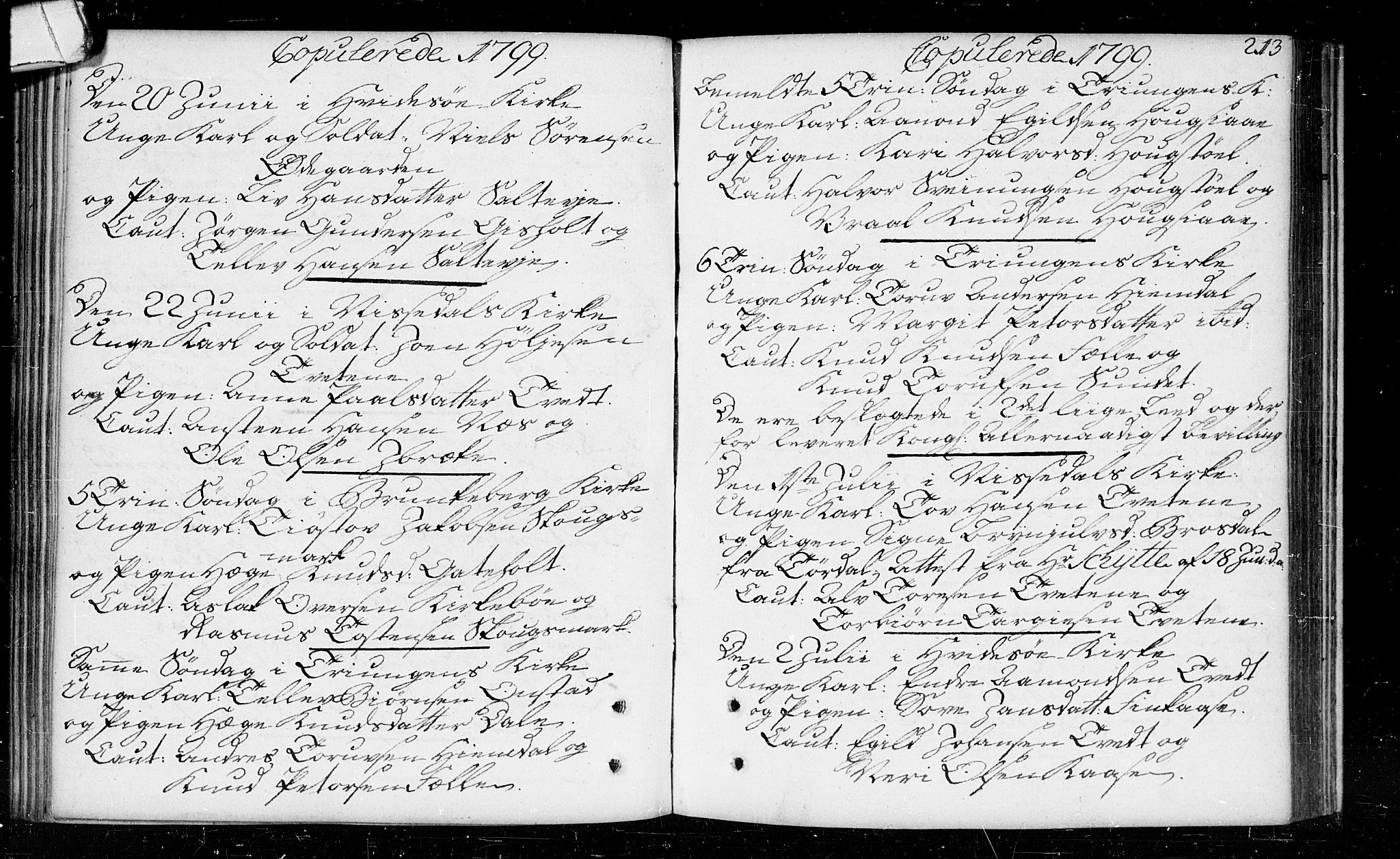 Kviteseid kirkebøker, SAKO/A-276/F/Fa/L0003: Parish register (official) no. I 3, 1787-1799, p. 213