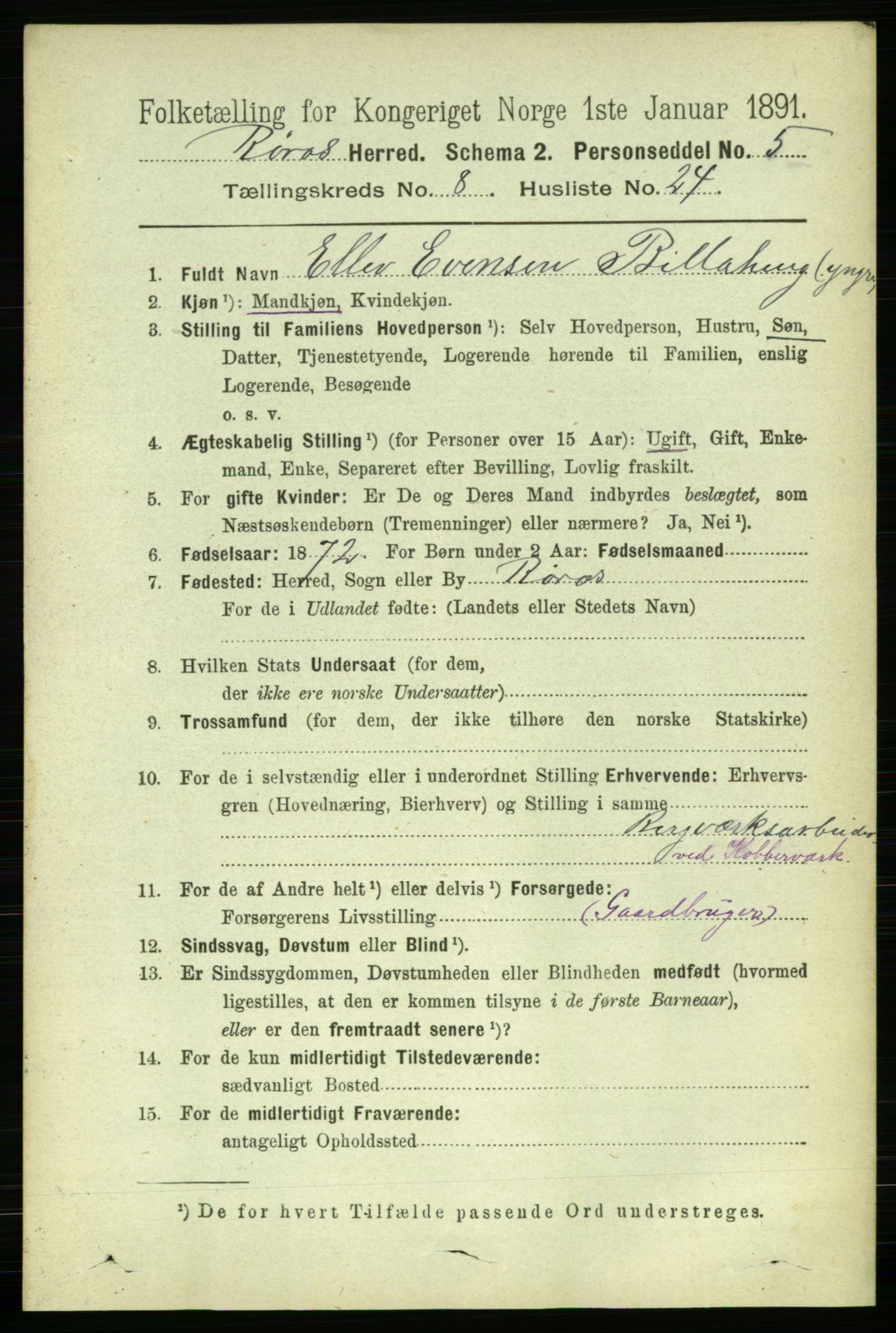 RA, 1891 census for 1640 Røros, 1891, p. 1776