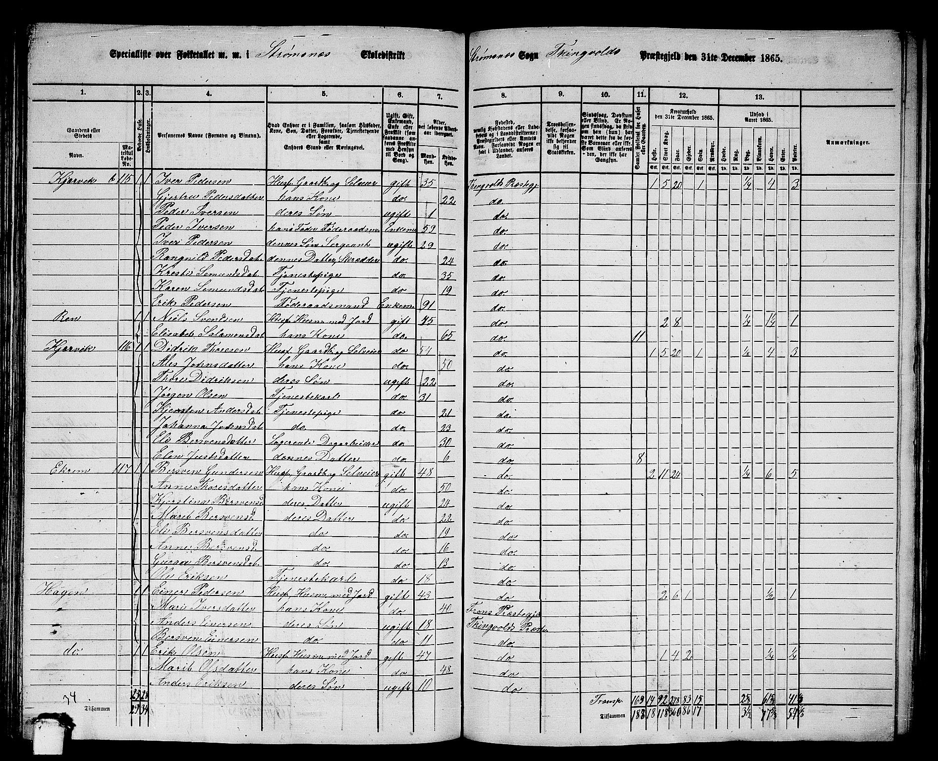 RA, 1865 census for Tingvoll, 1865, p. 119