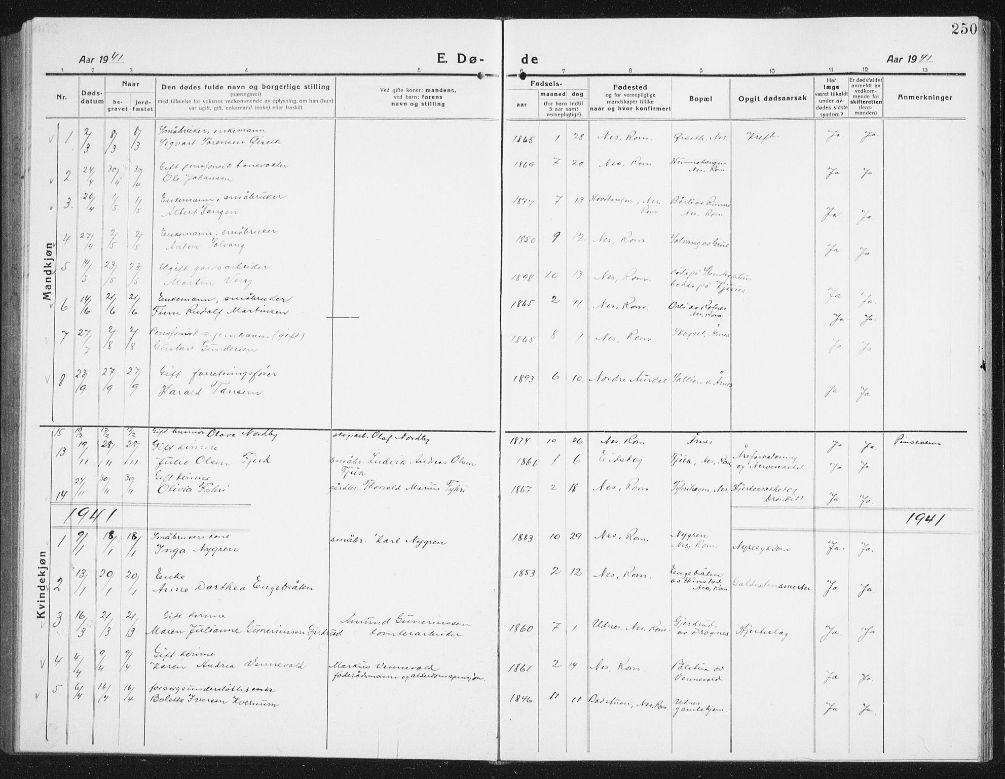 Nes prestekontor Kirkebøker, AV/SAO-A-10410/G/Gc/L0002: Parish register (copy) no. III 2, 1915-1943, p. 250