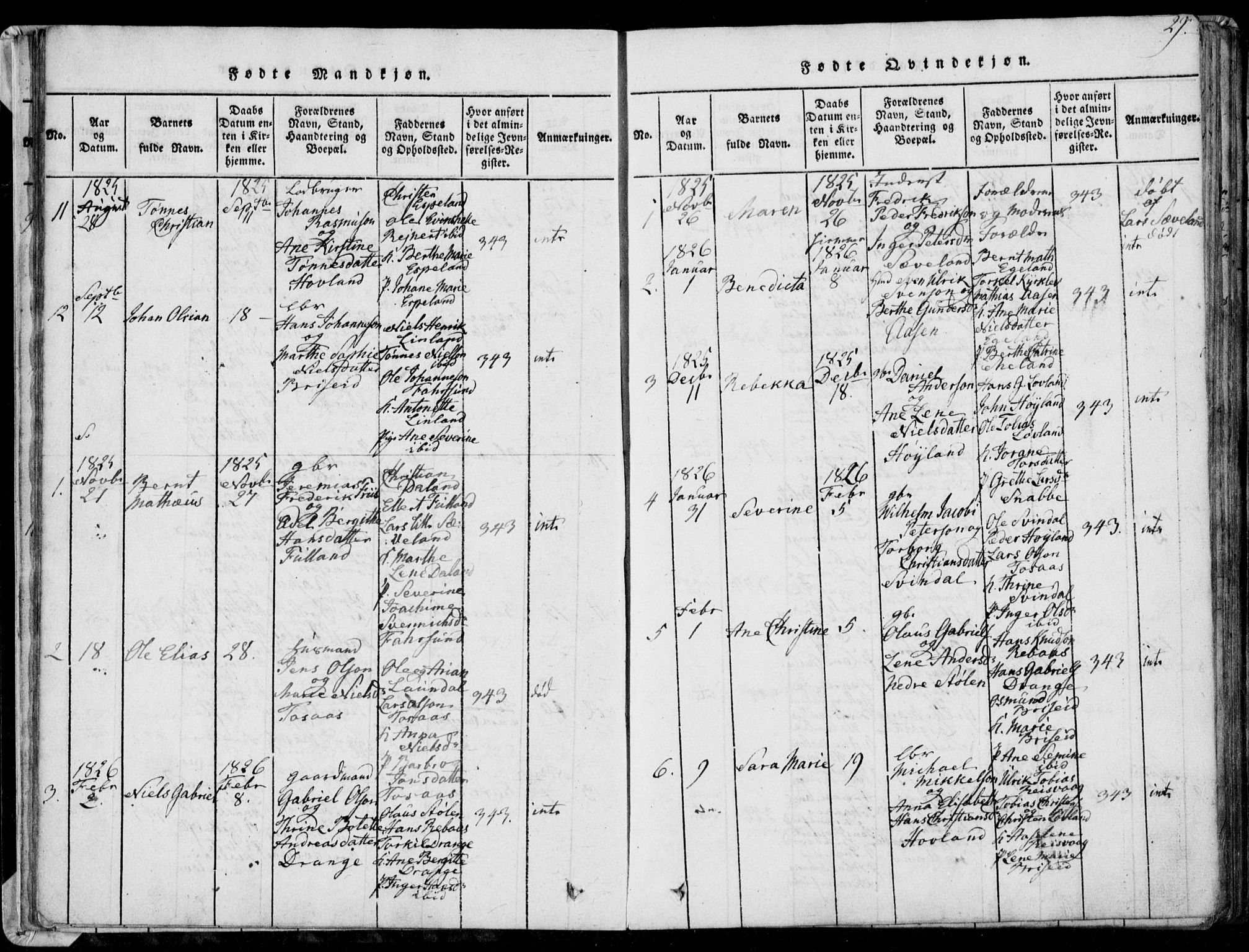 Herad sokneprestkontor, AV/SAK-1111-0018/F/Fa/Faa/L0003: Parish register (official) no. A 3, 1816-1844, p. 29