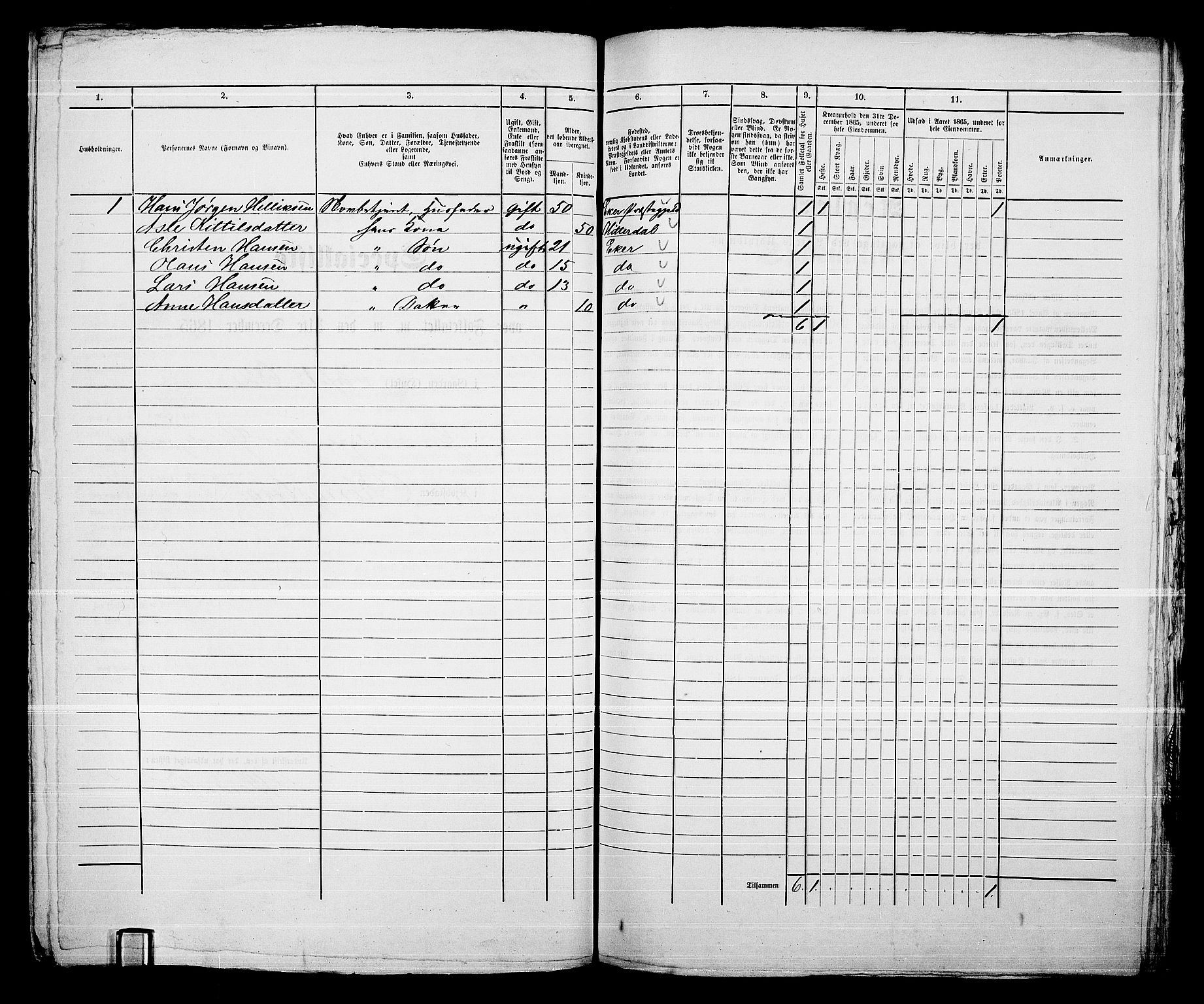 RA, 1865 census for Kongsberg/Kongsberg, 1865, p. 1309