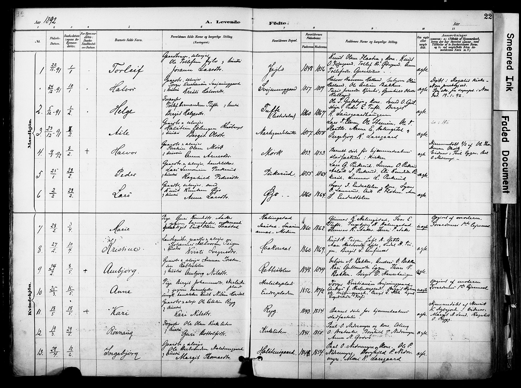 Hol kirkebøker, AV/SAKO-A-227/F/Fa/L0003: Parish register (official) no. I 3, 1887-1918, p. 22